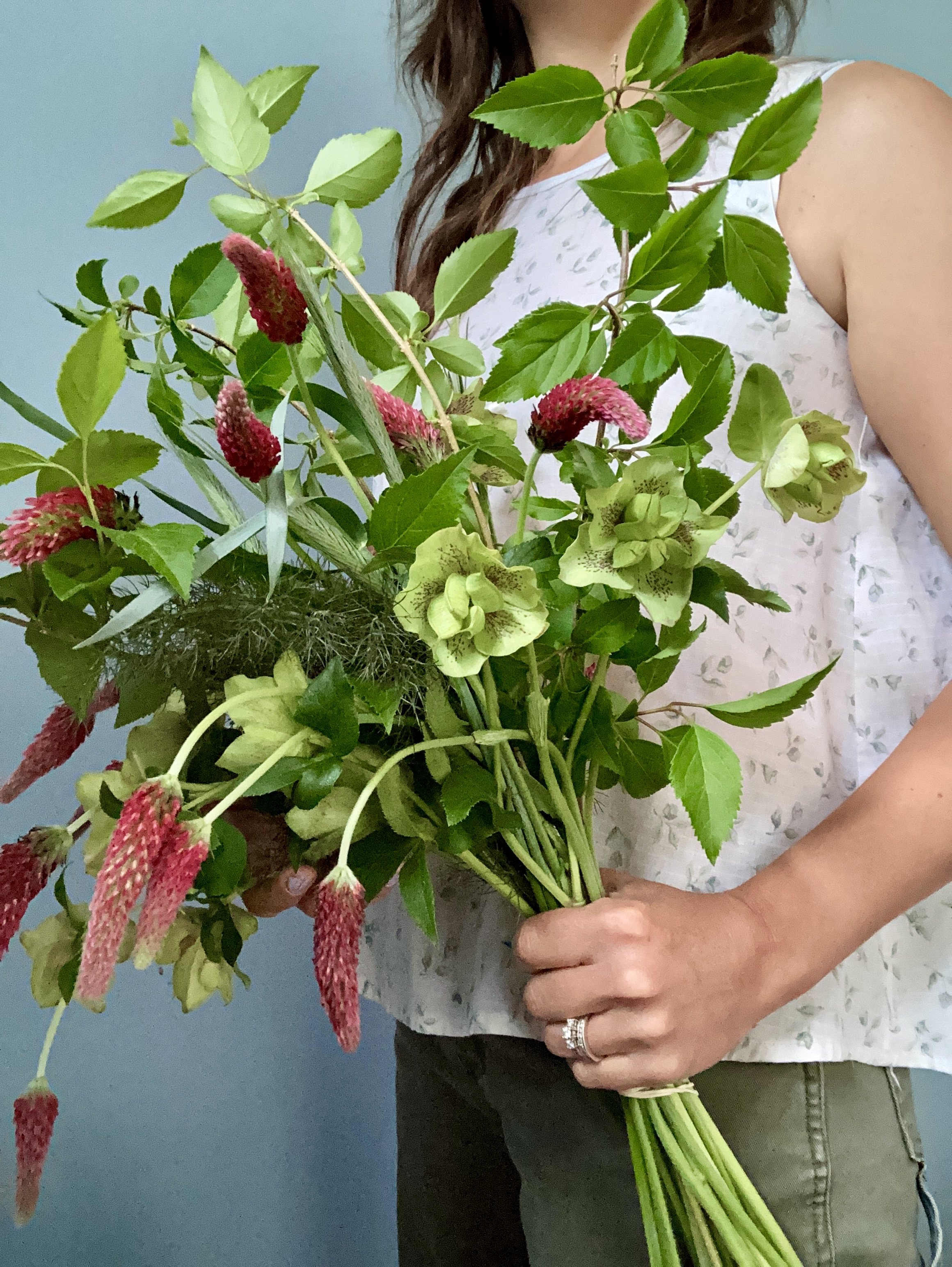 rye and clover in hand.jpg