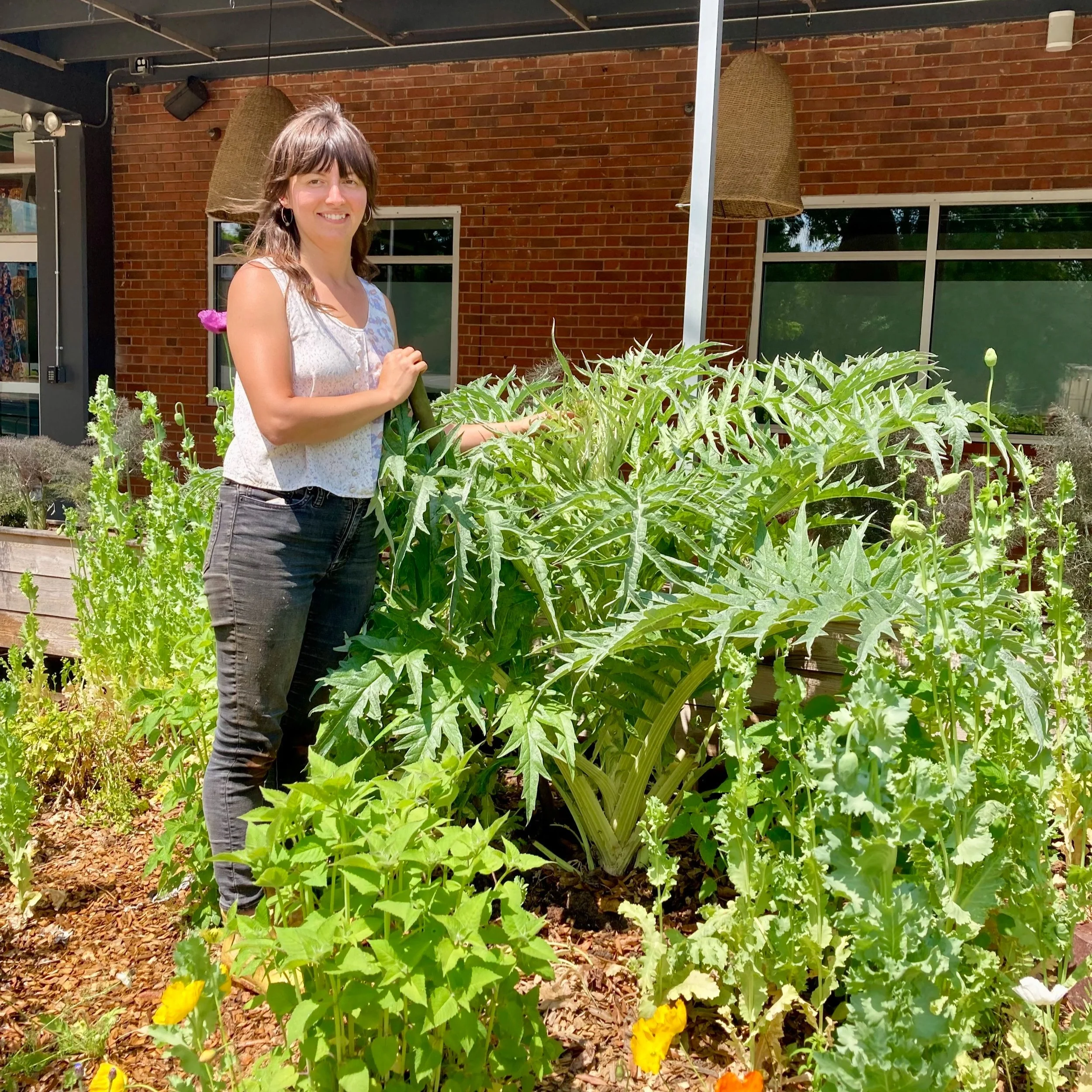 Health Benefits of Gardening