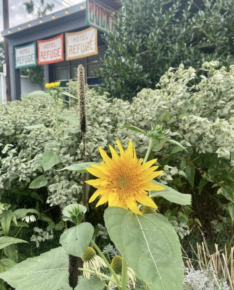 The Gardens at Refuge