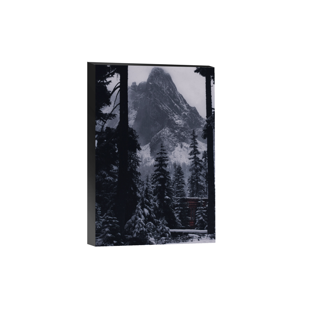 ptq_32_3_0_0_3330_4995_0_false_ffffff_0_0_.png