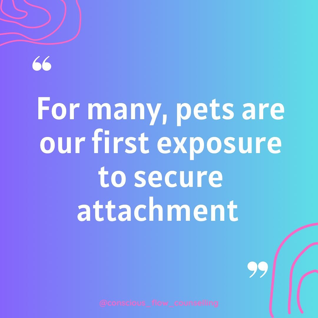 For many of us, pets are our first experience with secure attachment. This is why so many people find animals so healing and often prefer animals over human connection.

When we lose a pet, it can be so devastating, and this is because we are grievin
