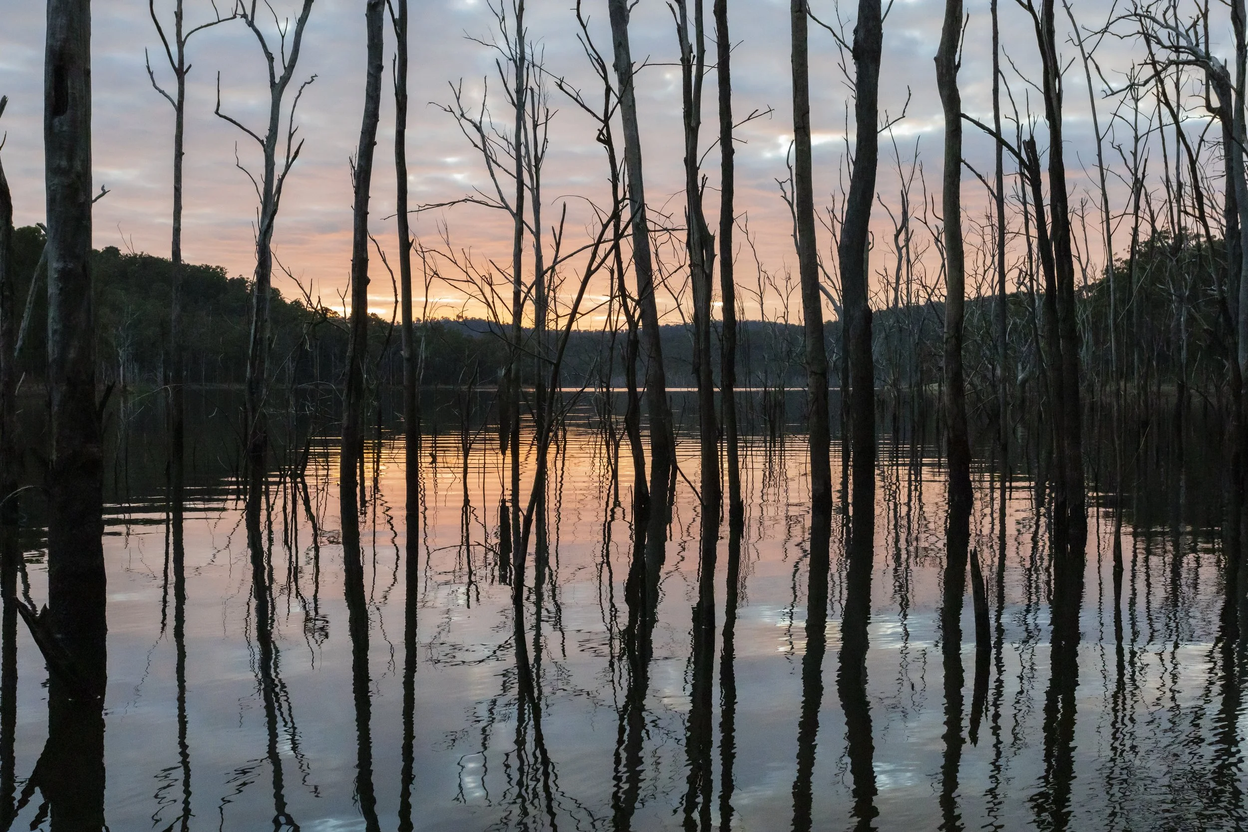 Dawn at Lake Wivenhoe, Queensland