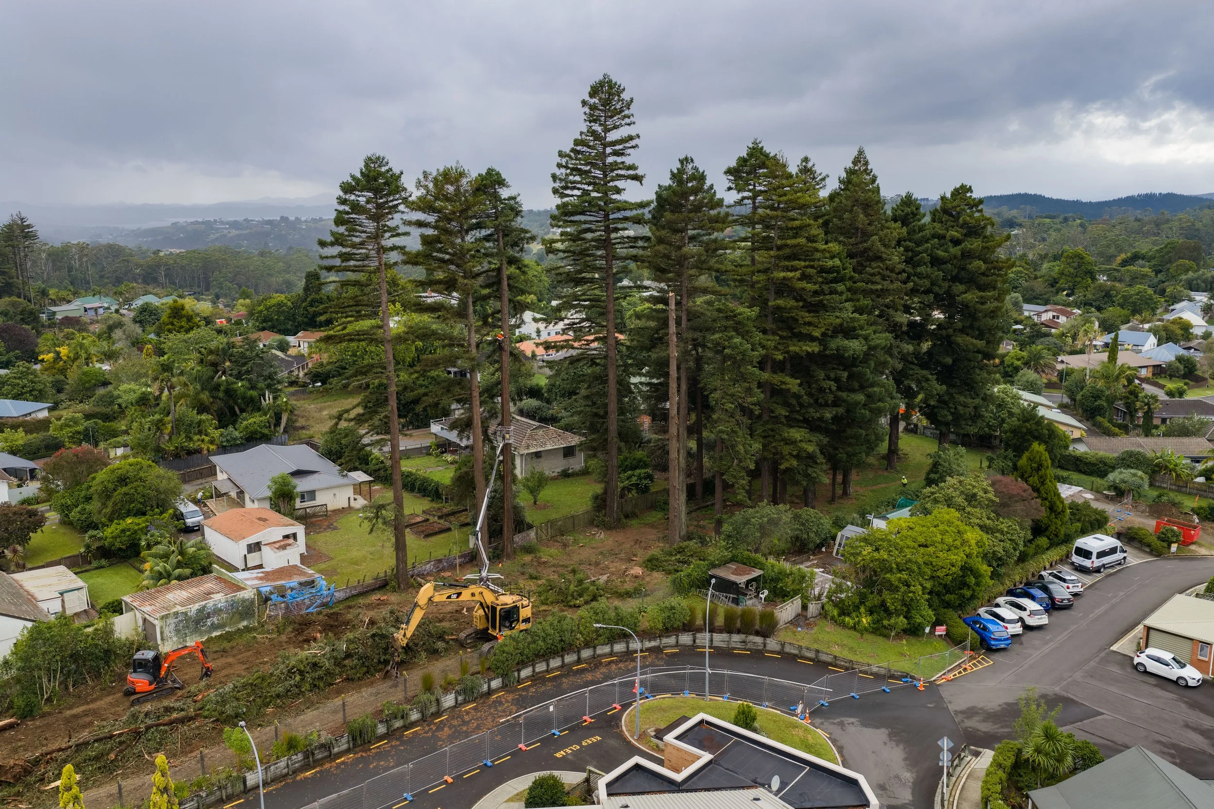 Redwood Removal KeriKeri