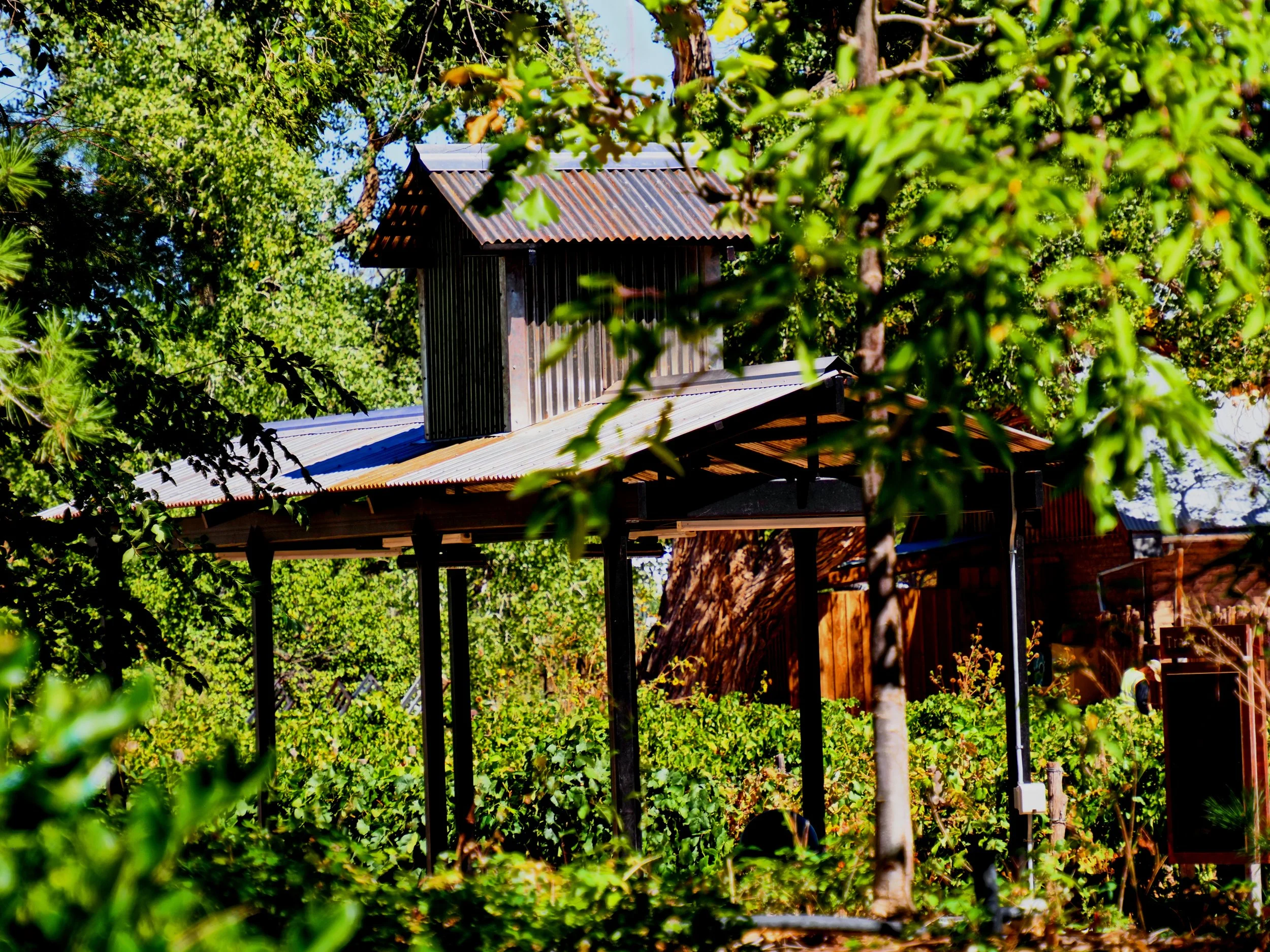 Farm Garden 002.jpg