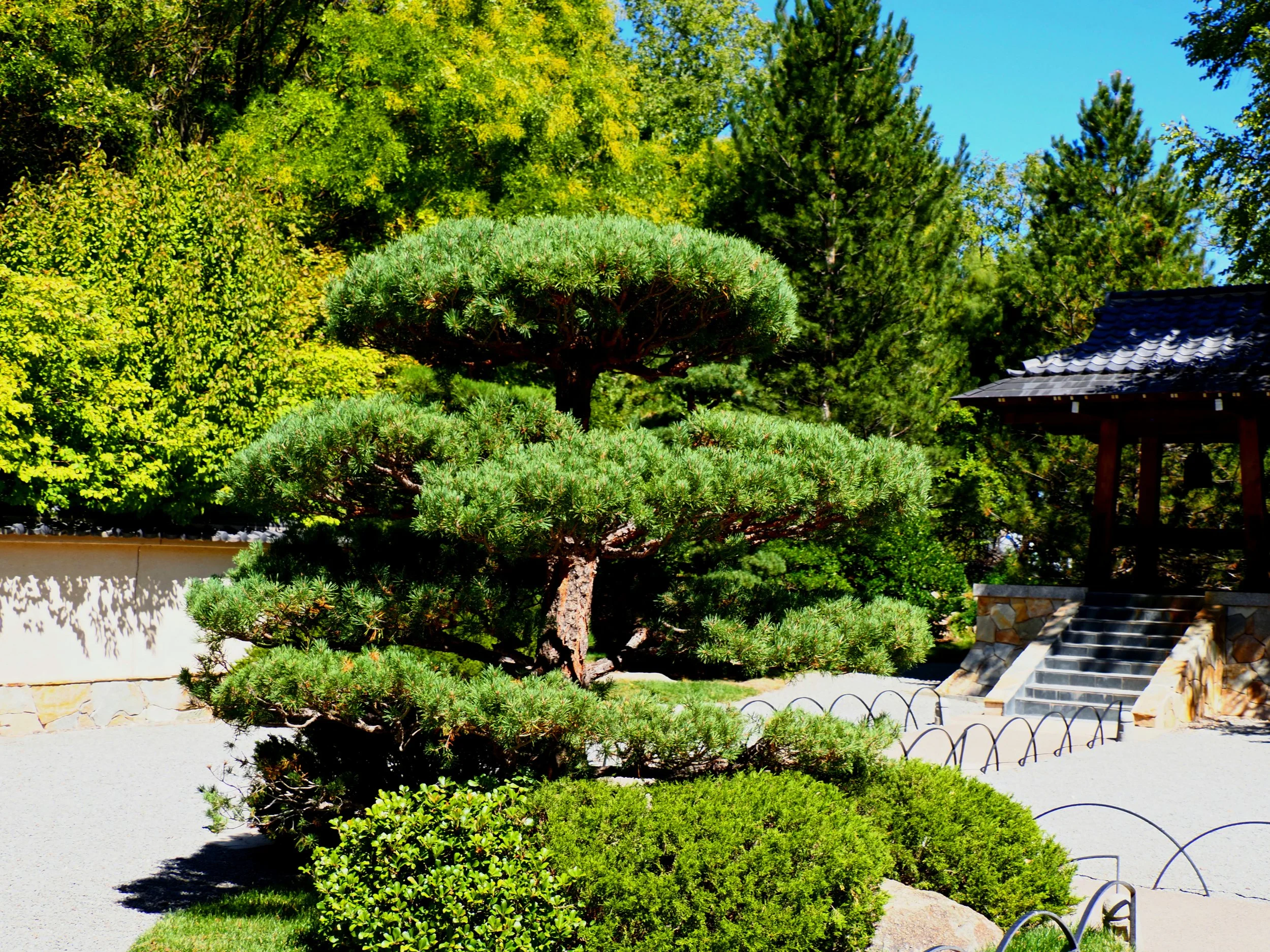 Japanese Garden 004.jpg