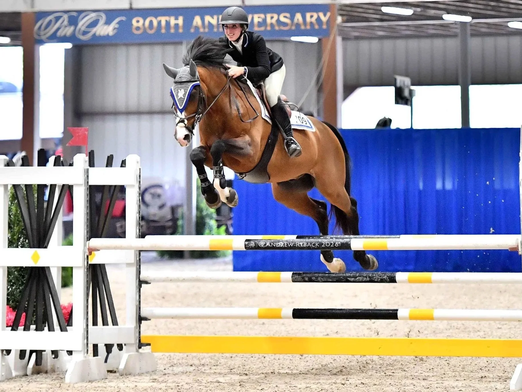 A female equestrian rider in black riding attire and helmet jumping a show jumping obstacle on a brown horse with a braided mane inside an indoor riding arena. A blue banner commemorates an 80th anniversary in the background.