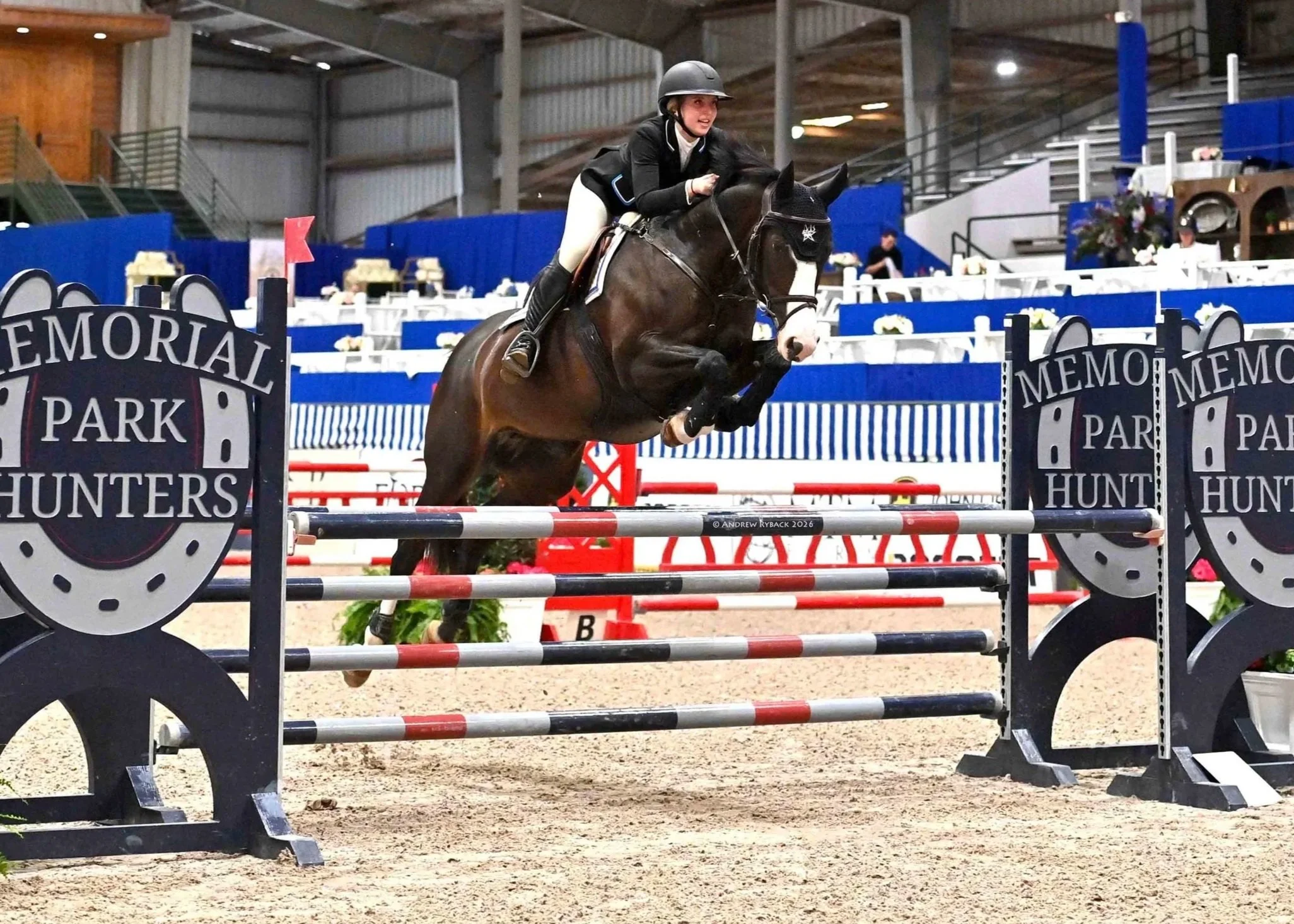 A young female equestrian in riding gear and helmet riding a dark horse over a show jumping obstacle indoors at Memorial Park Hunters.