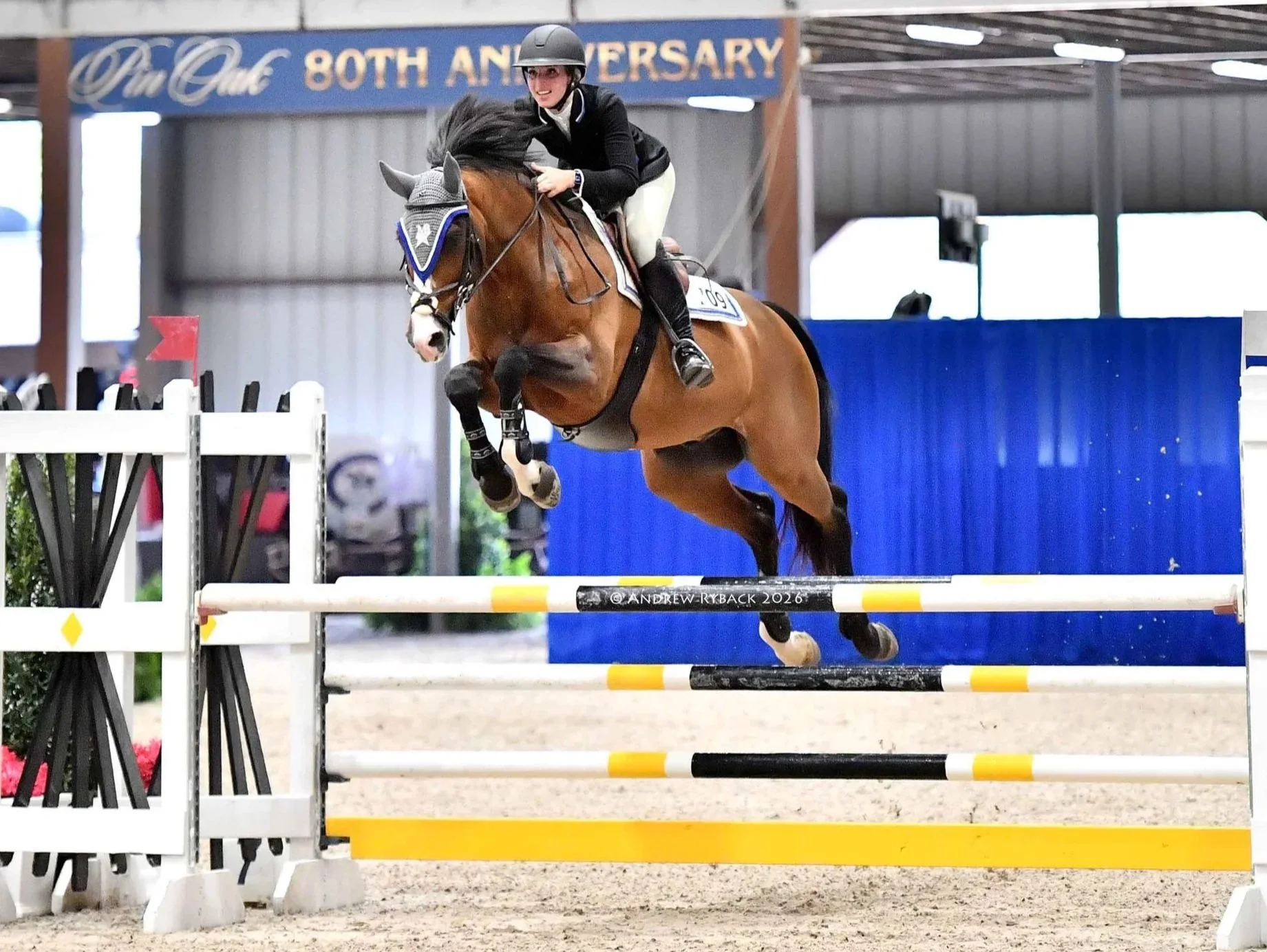 hunter horse jumping hunter fence at horse show