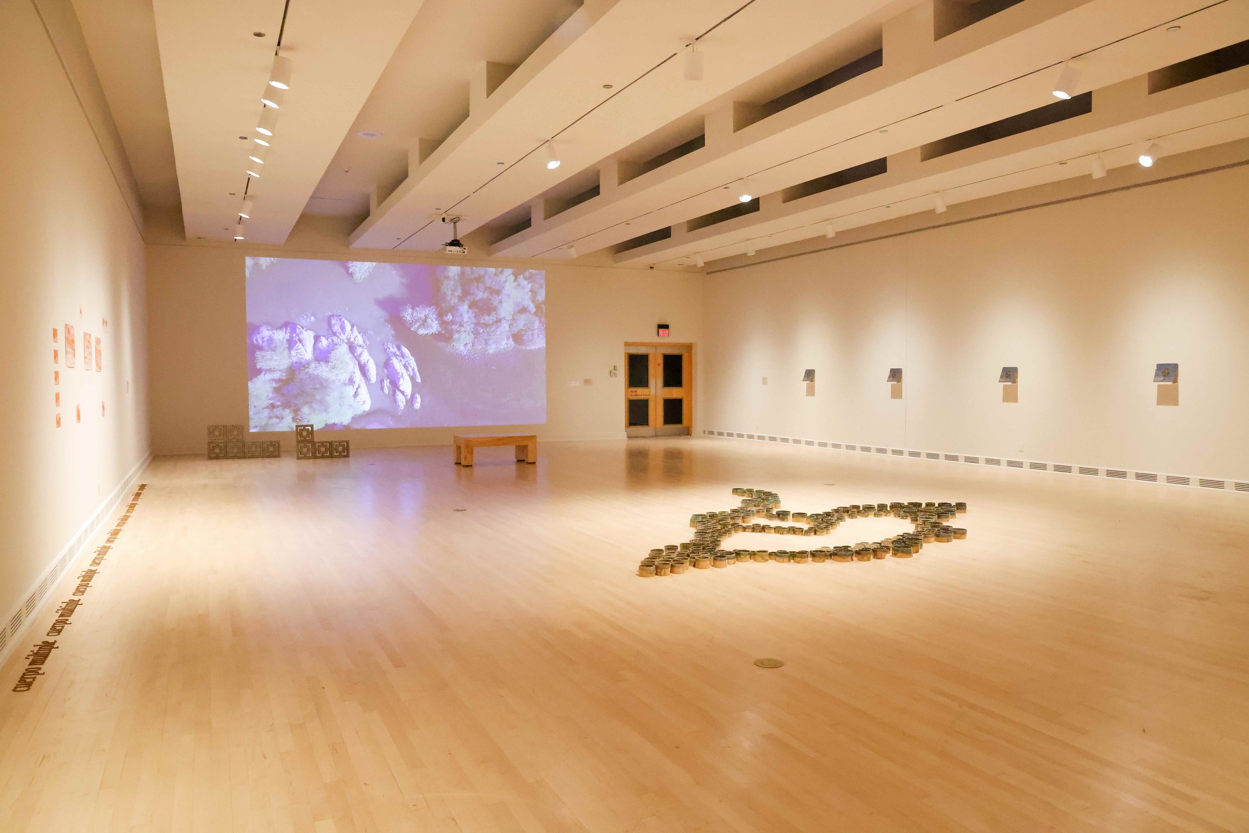 m_e_muddy_terrains-3 (1).jpeg