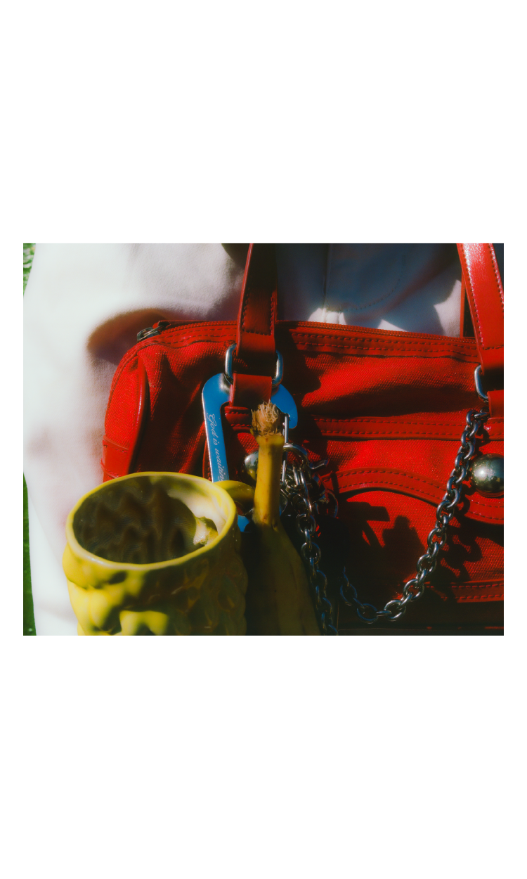 site-image---cara-bag.png