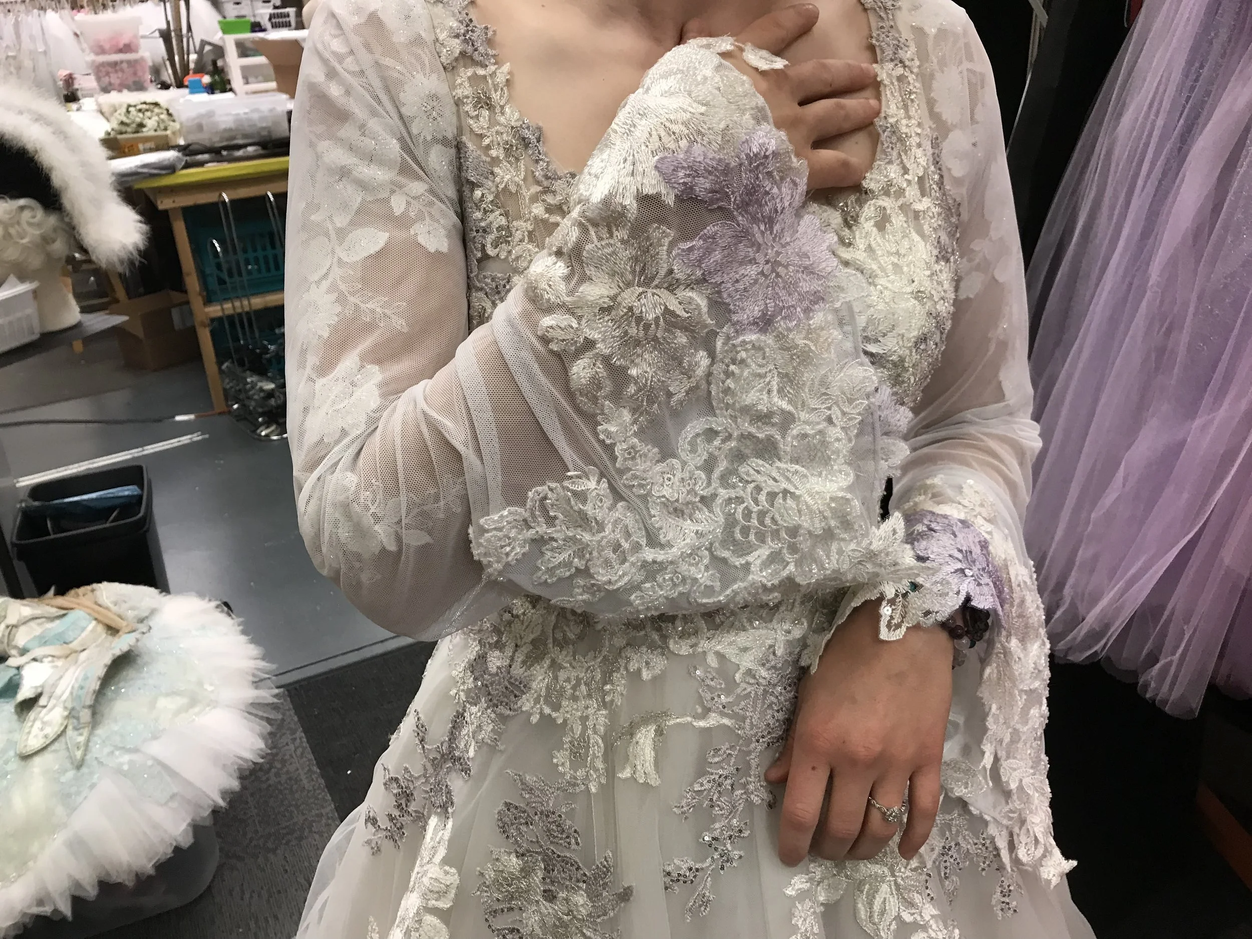 Wedding Gown Sleeves and Veil