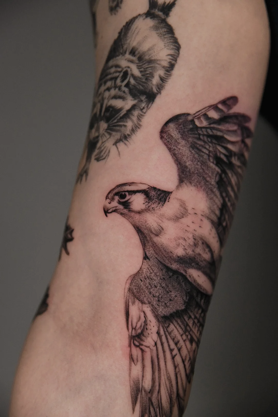 Tattoos depicting two birds, one with a hawk's head and the other with colored feathers, in black and gray.