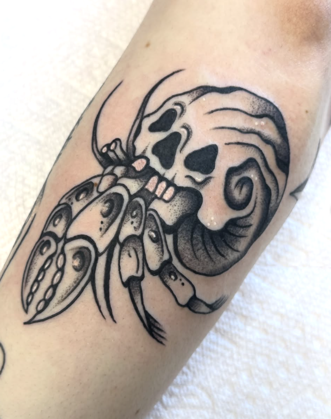 A black tattoo of a skull with a shrimp in its mouth, in an artistic drawing style.
