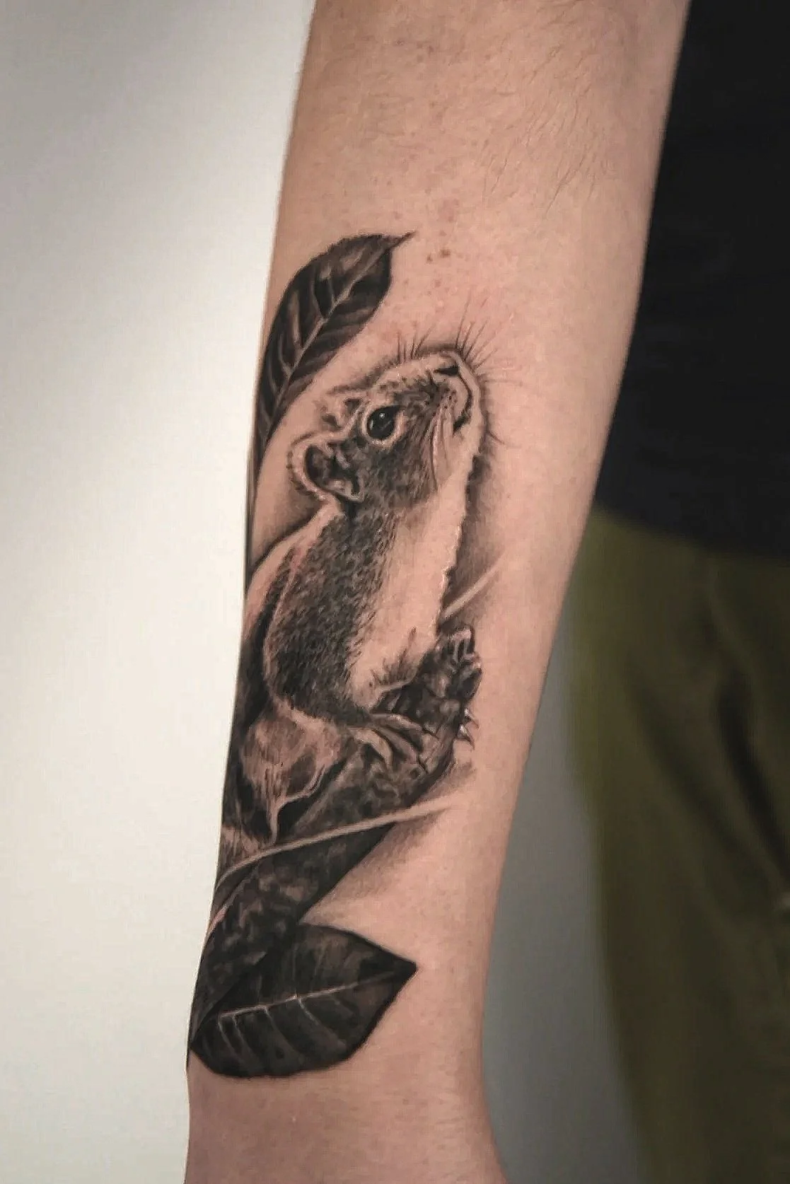 Tattoo of a little blue marmot sitting, surrounded by two leaves, in black and gray.