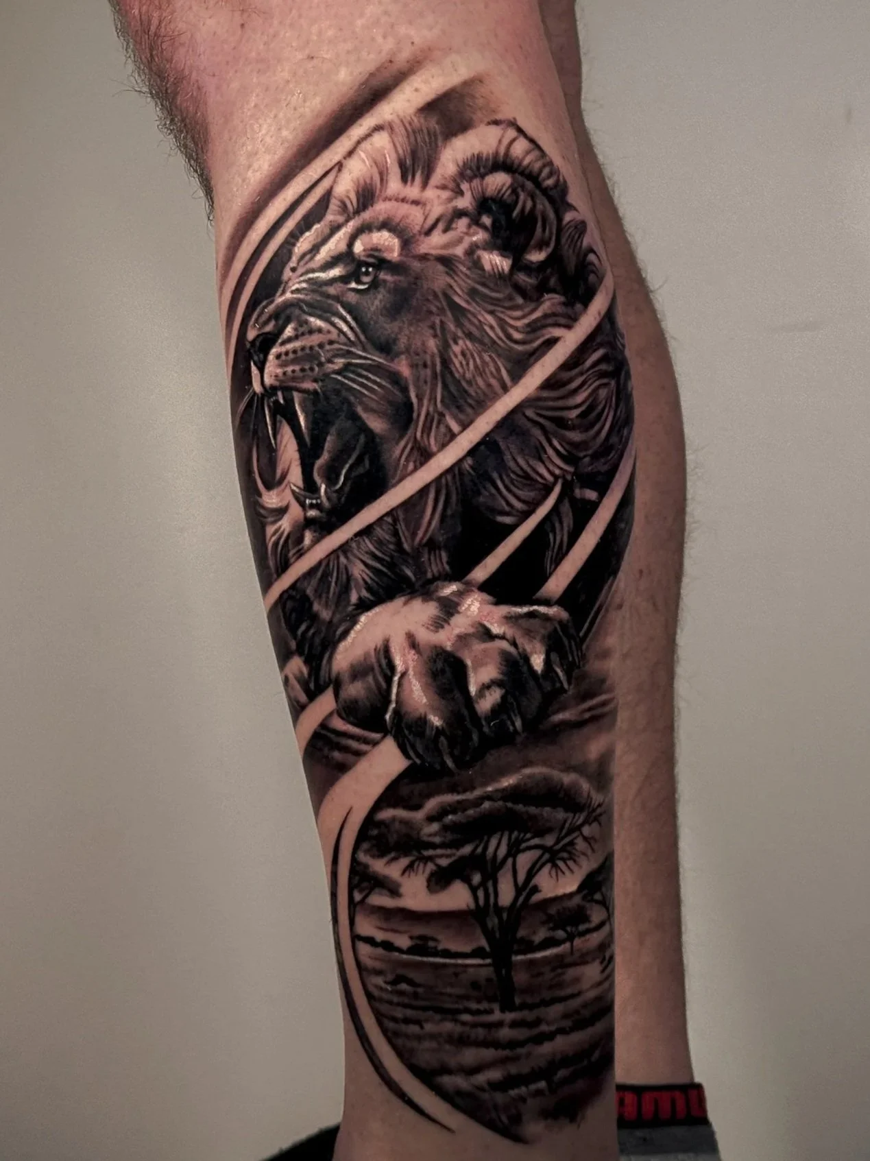 A tattoo of a roaring lion surrounded by pampas grass and tree branches on the arm.
