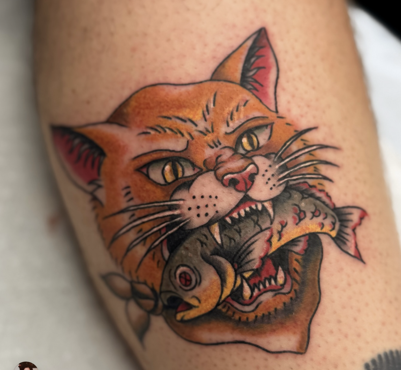 A traditional-style tattoo of an orange cat with a fish in its mouth. The cat has yellow eyes, black details, and pink ears.