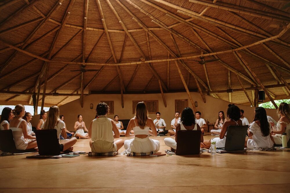 Exploring the Psychedelic Frontier: How to Stay Safe in Psychedelic Therapy Sessions