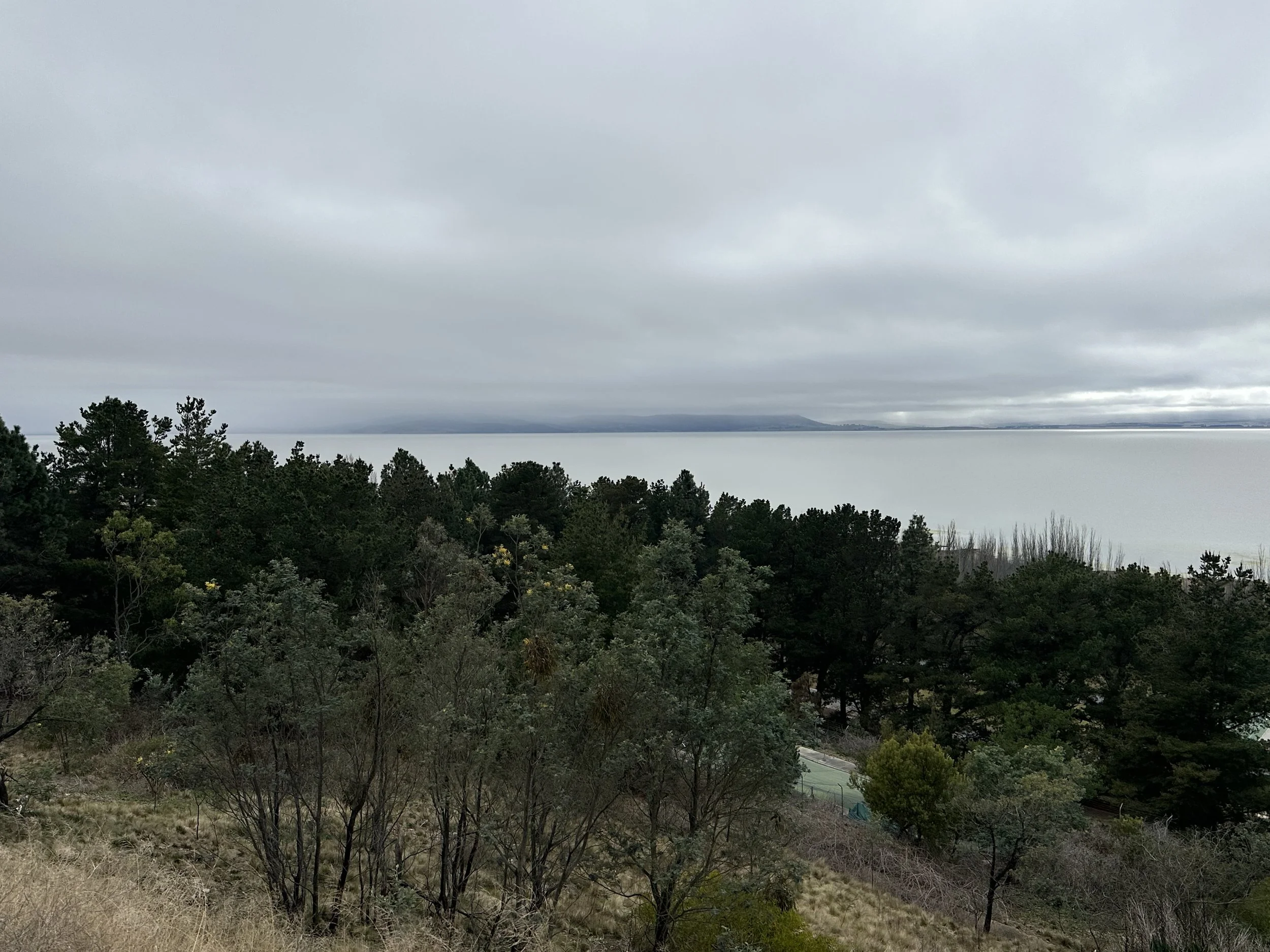 IMG_4055.jpeg