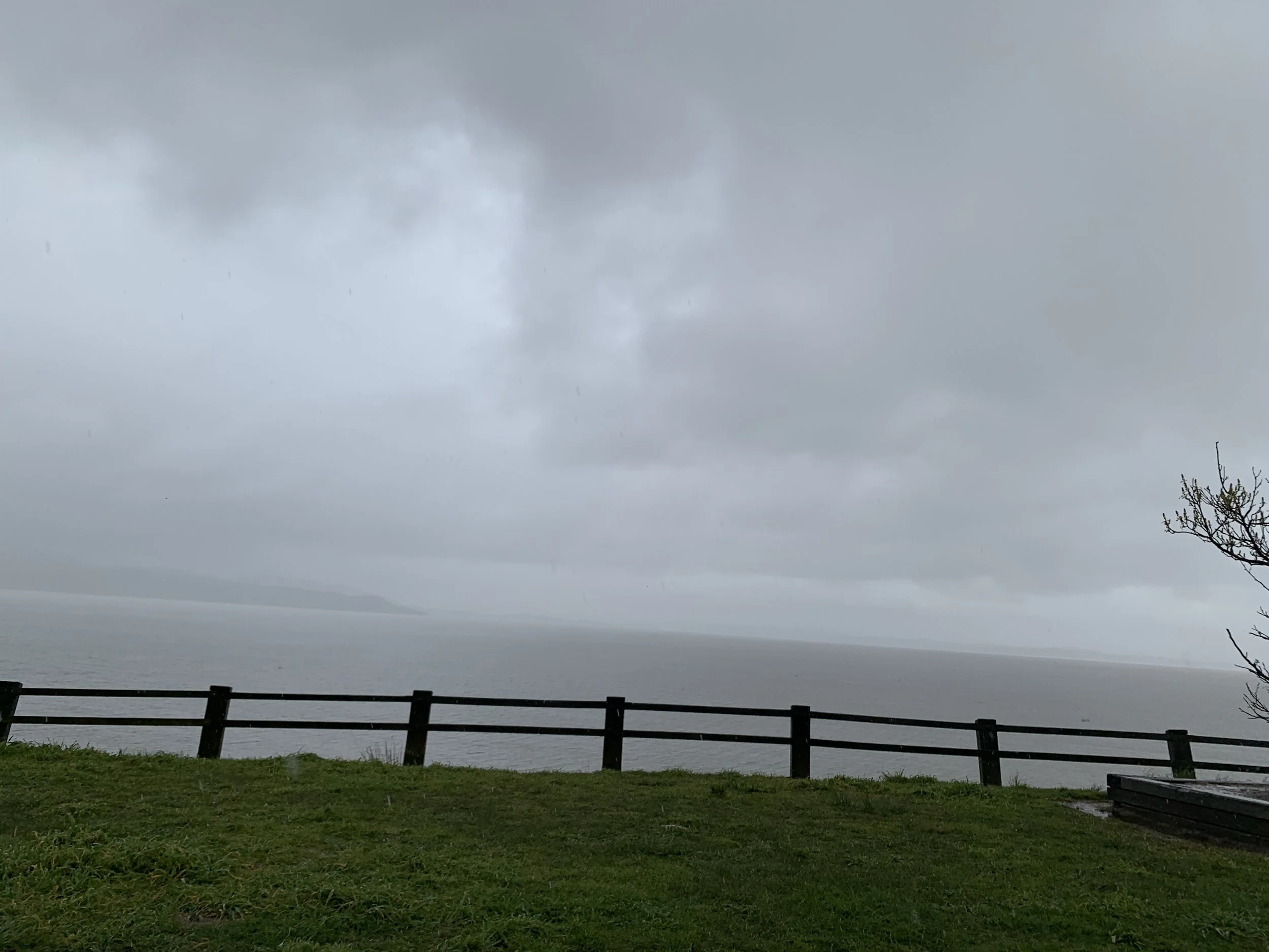 IMG_9423.jpeg