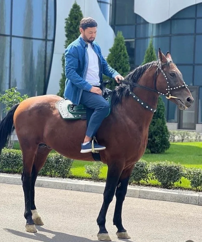 Happy New Year of the Horse