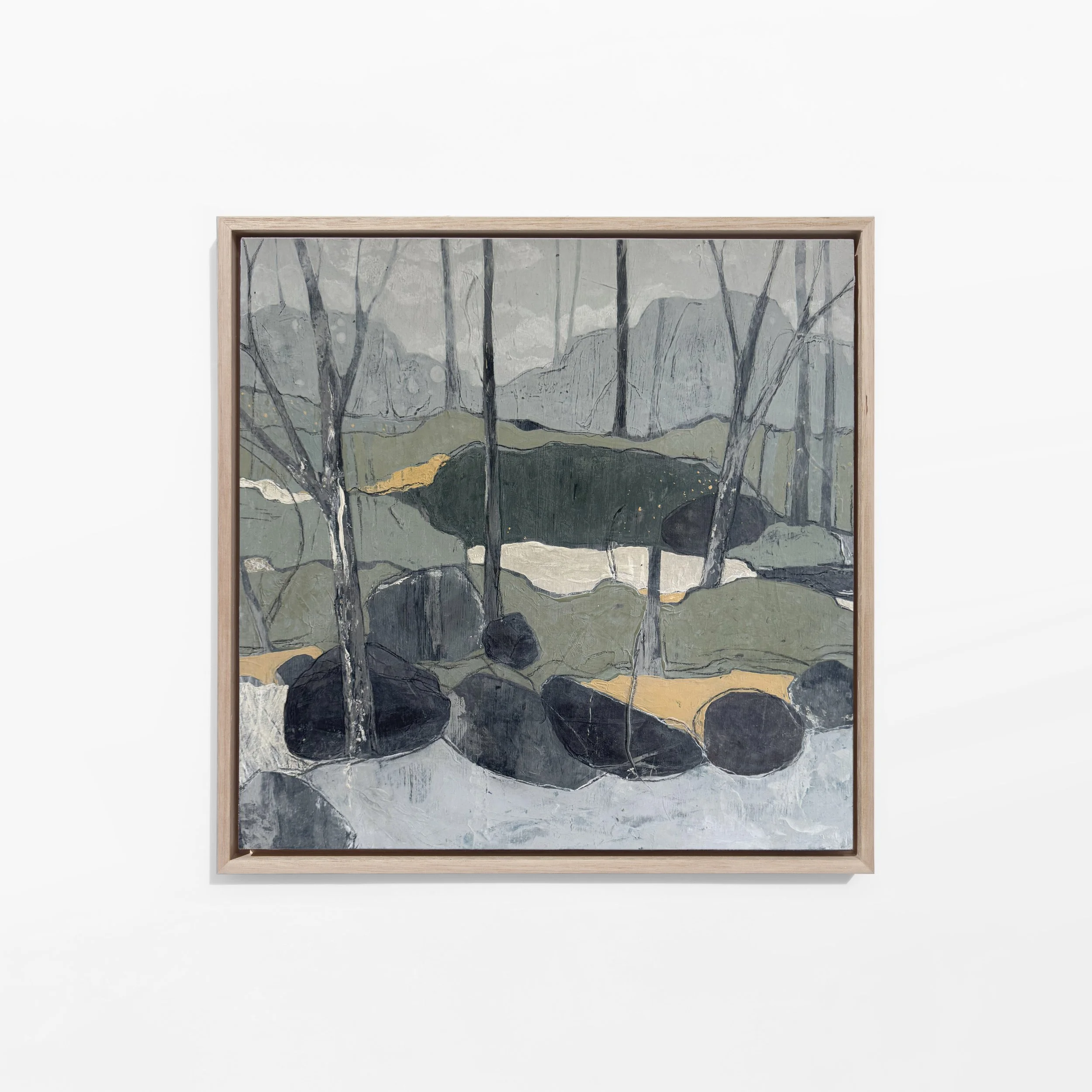 Wattle & Ash II, 40 x 40 - Available Pack Gallery, Byron