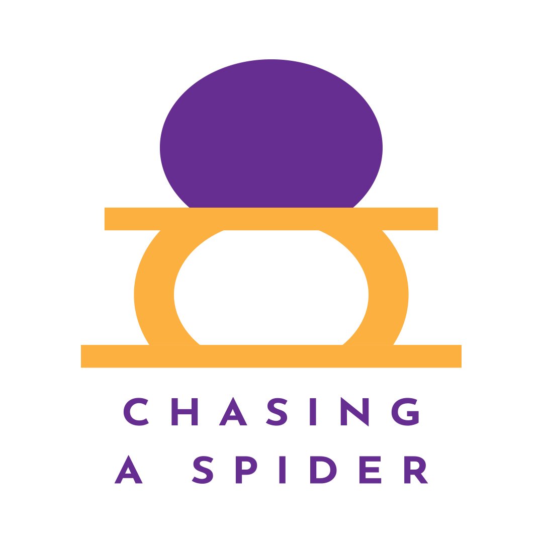 Chasing A Spider Publishing