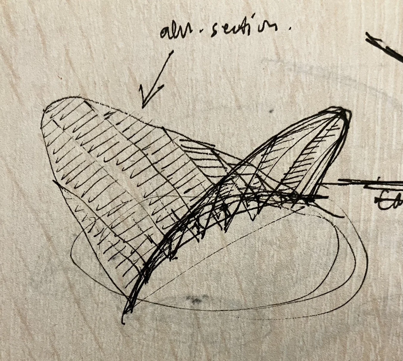 S__23912484_0.jpg