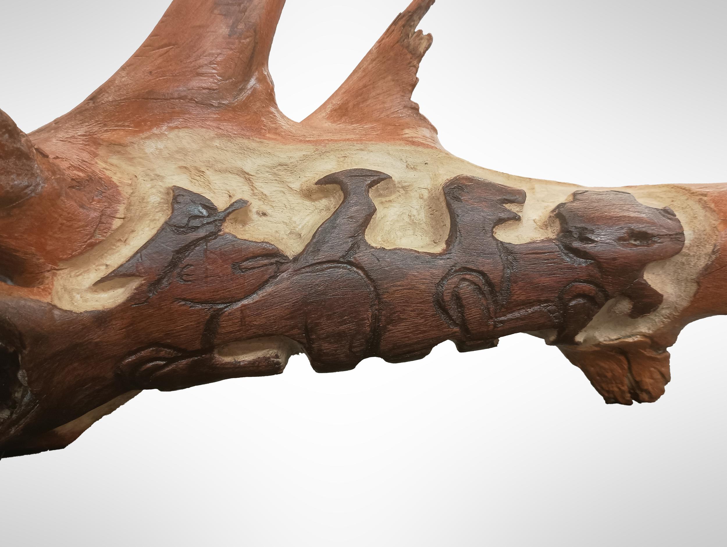 Before Time Detail, unkown drift wood, stain, polyacrylic, 2025