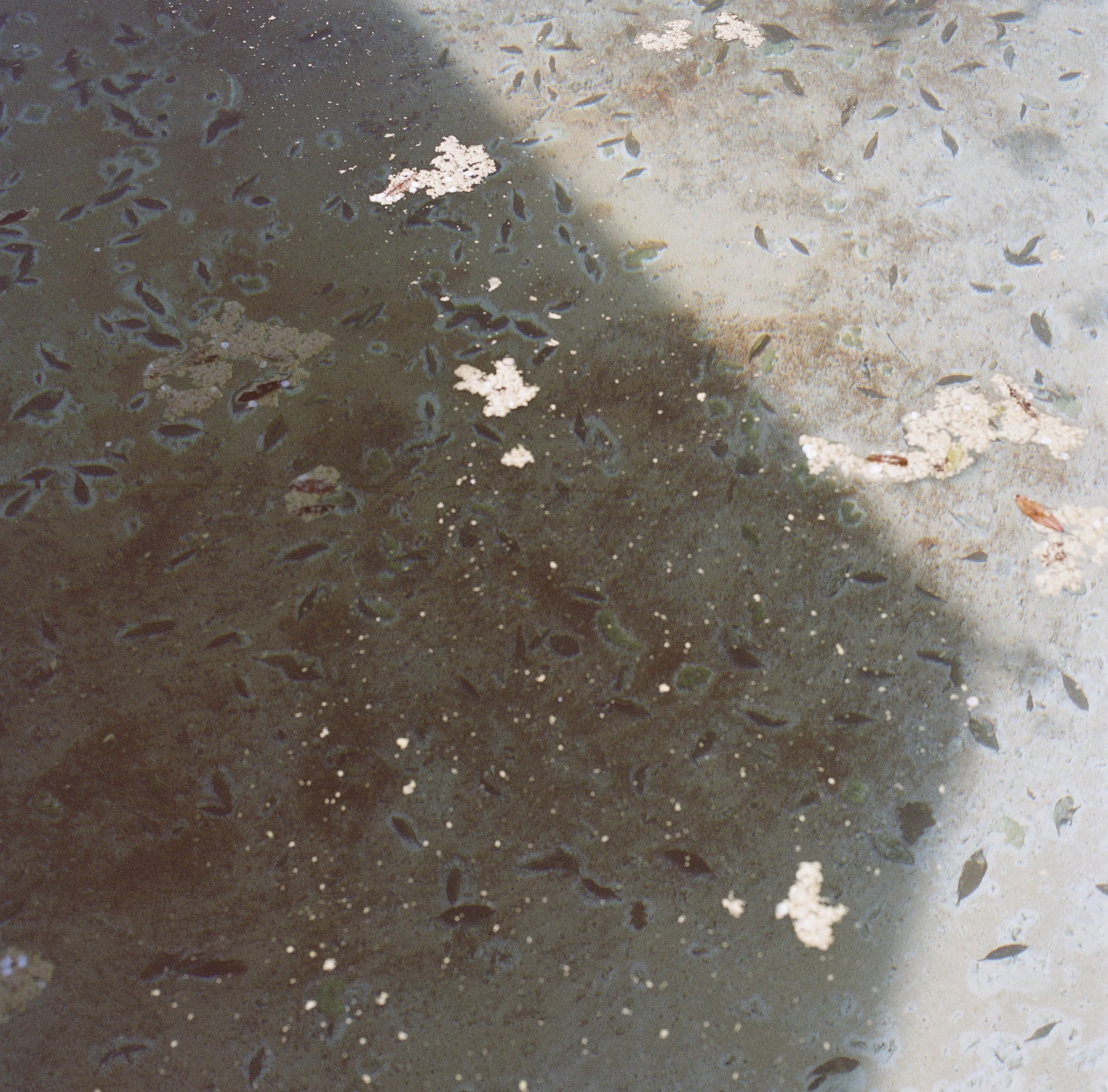 11_2026_Curtin_Roll_02_005.jpg