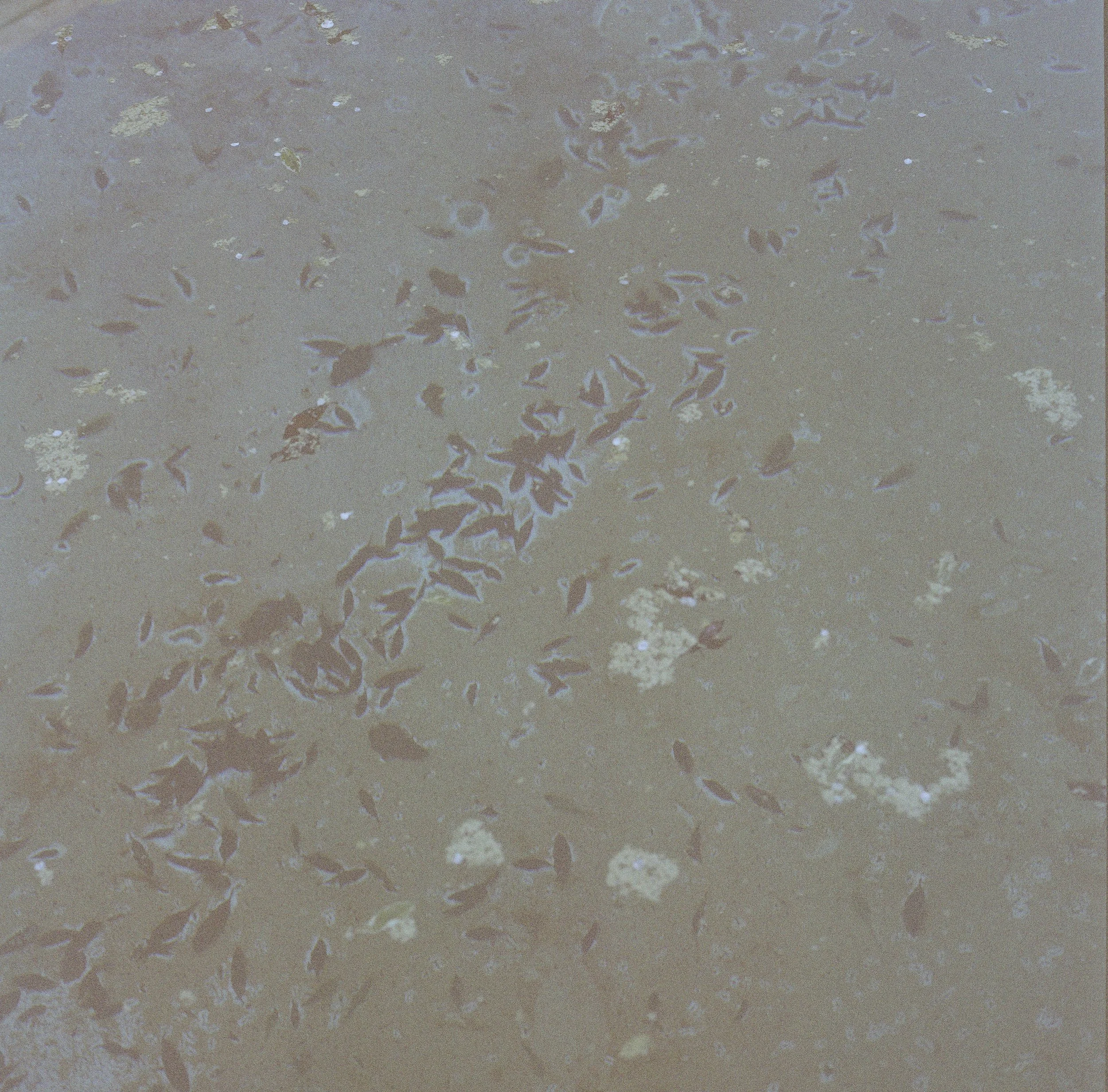 26_2026_Curtin_Roll_04_009.jpg