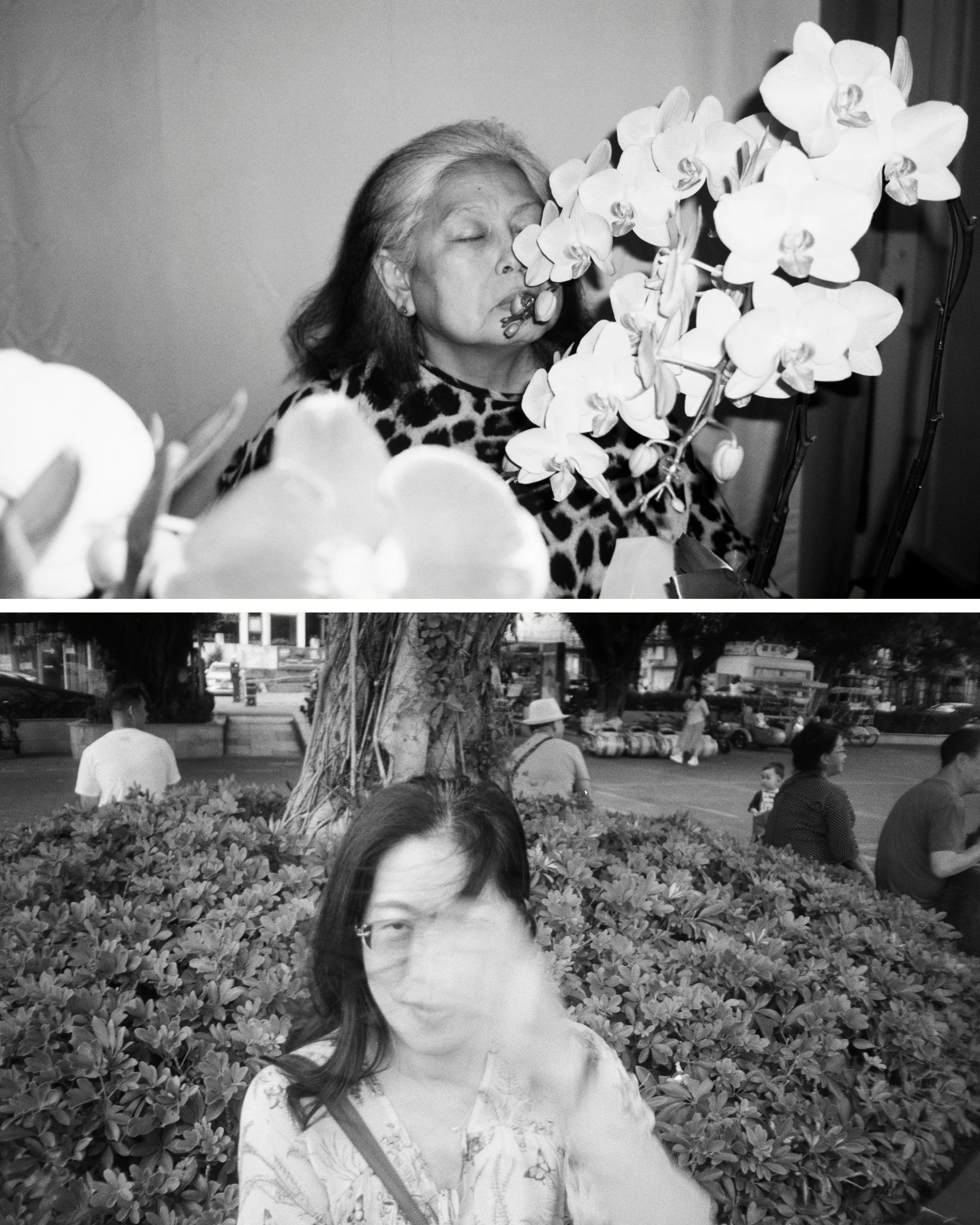 Nur Aishah Kenton and Shelley Xue exhibtion at Hillvale Melbourne 4 September. - 4 October 2026