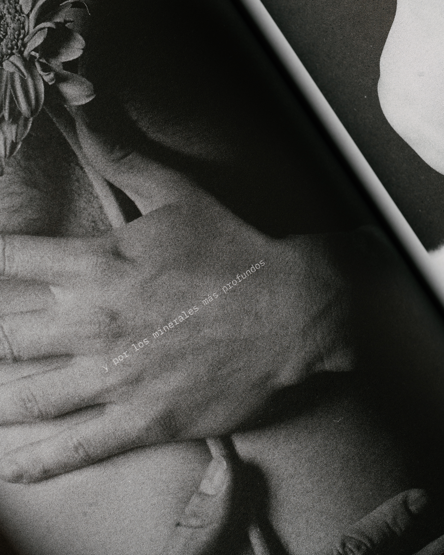 Fotograma_ErrMagazine_06.png