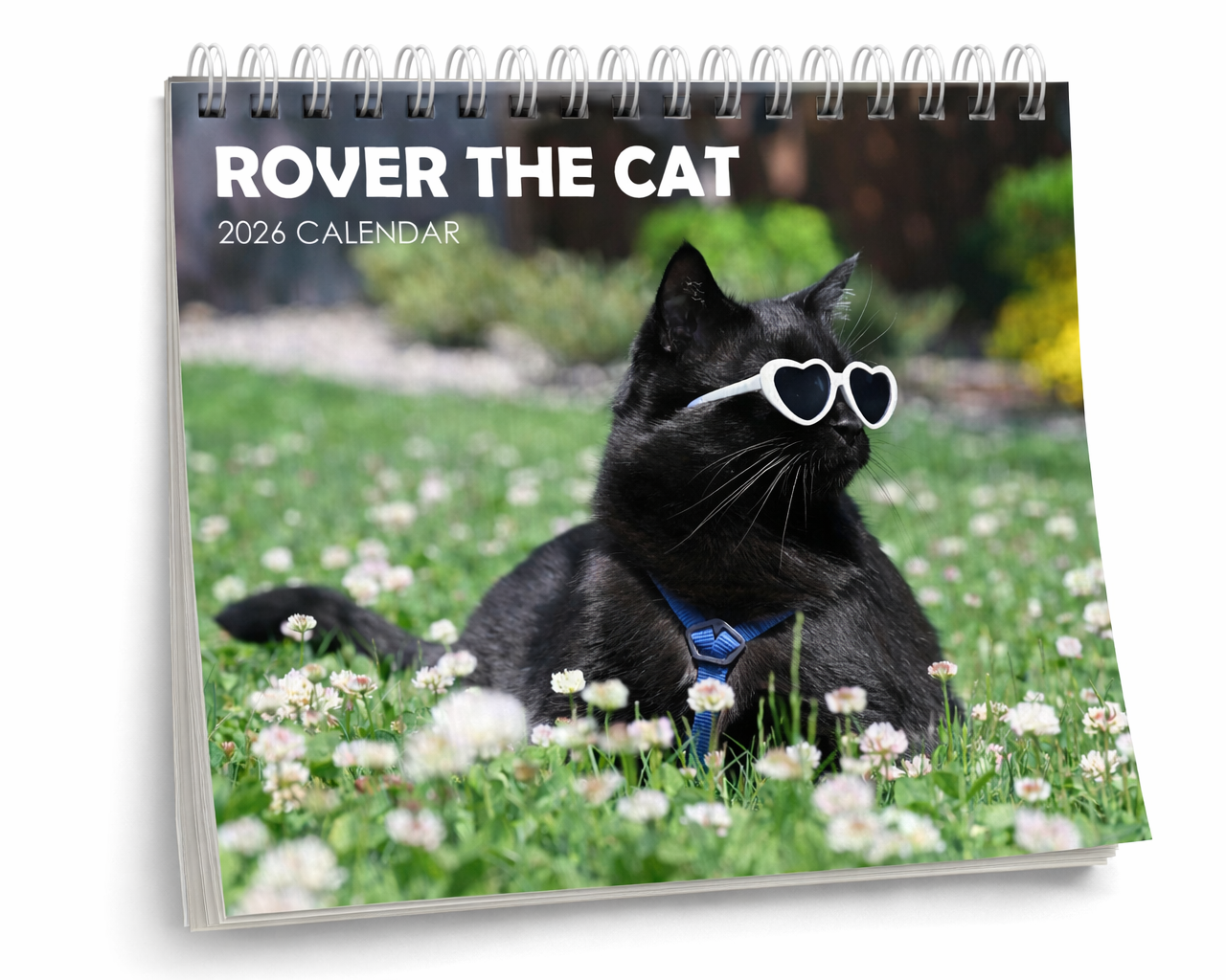 ROVER THE CAT 2026 Calendar
