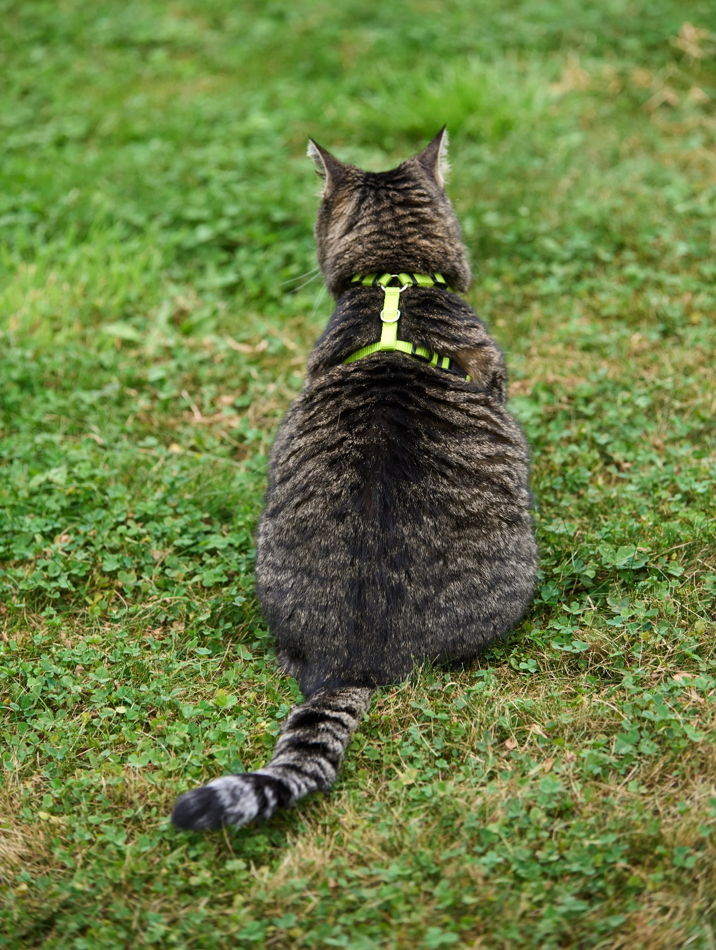 DSC_8421.jpg