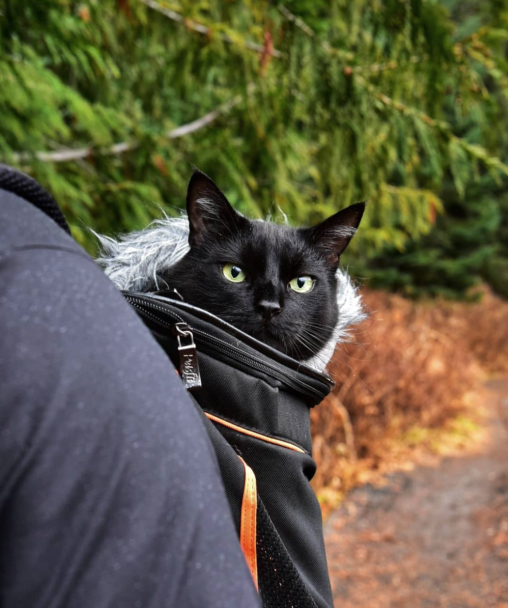 Screenshot 2024-01-25 161806.png