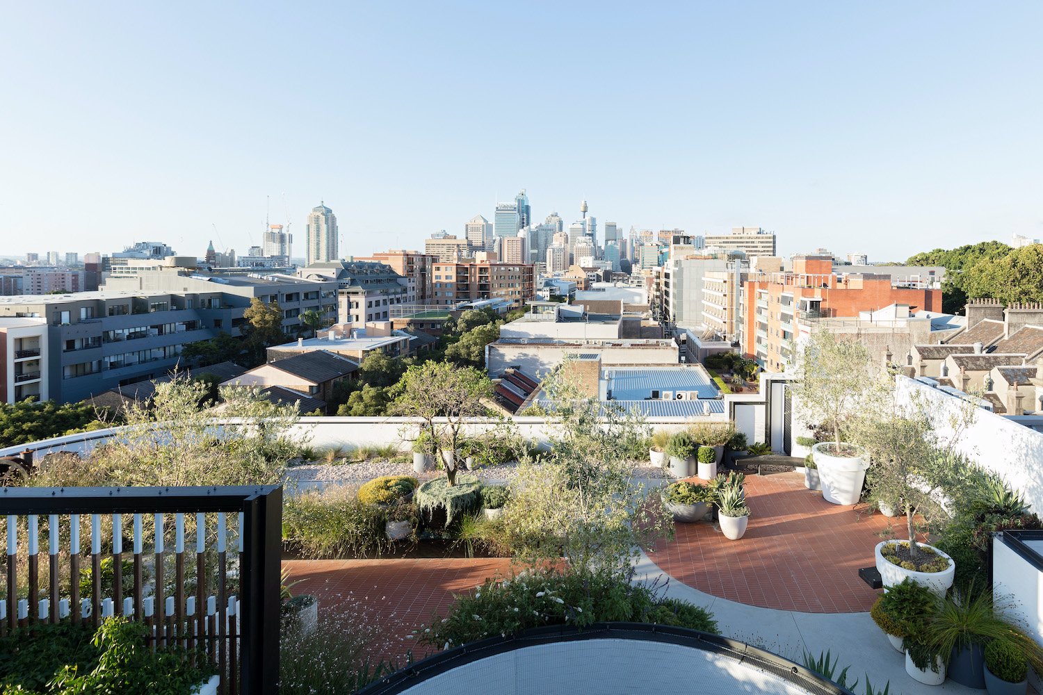 01-Black-Beetle-Landscape-Architects-CLEVELAND AND CO-REDFERN.jpg