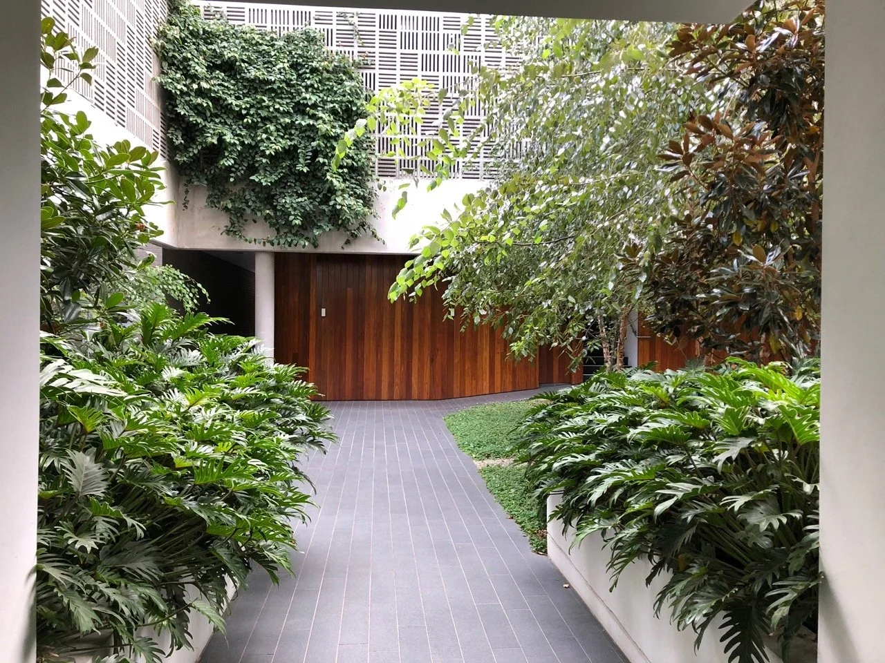 01-Black-Beetle-Landscape-Architects-NO-17-DANKS-WATERLOO-Black Beetle Large.jpeg