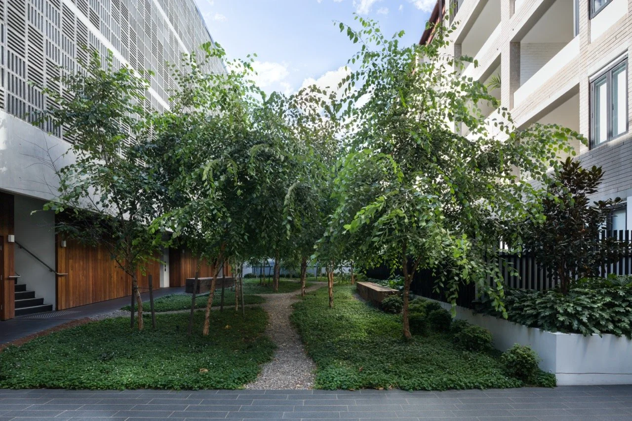 02-Black-Beetle-Landscape-Architects-NO-17-DANKS-WATERLOO-MD Large.jpeg