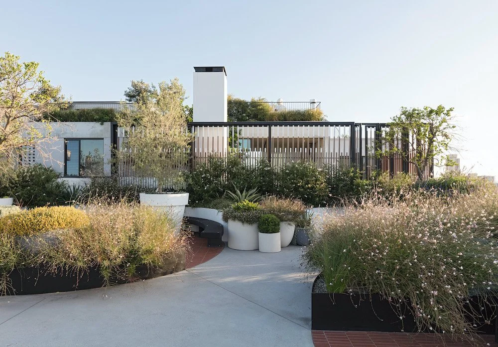 05-Black-Beetle-Landscape-Architects-CLEVELAND AND CO-REDFERN.jpg