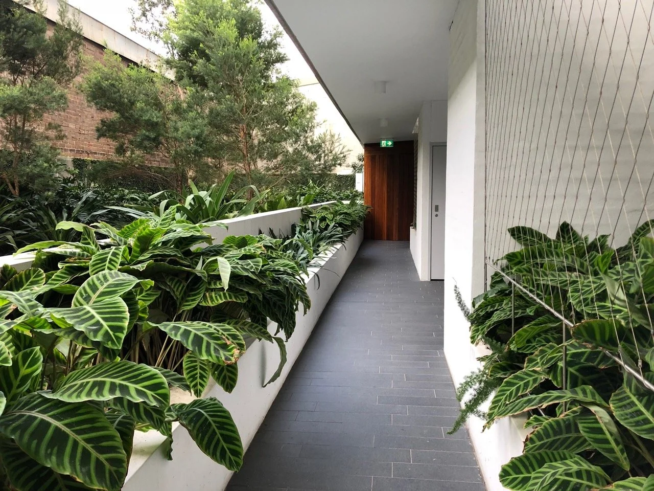 05-Black-Beetle-Landscape-Architects-NO-17-DANKS-WATERLOO-Black Beetle Large.jpeg