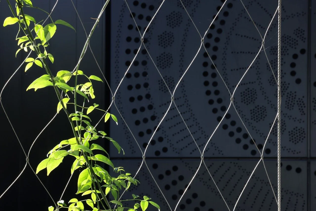 04-Black-Beetle-Landscape-Architects-BMW-MINI-SHOWROOM-RUSHCUTTERS BAY-SVP Large.jpeg