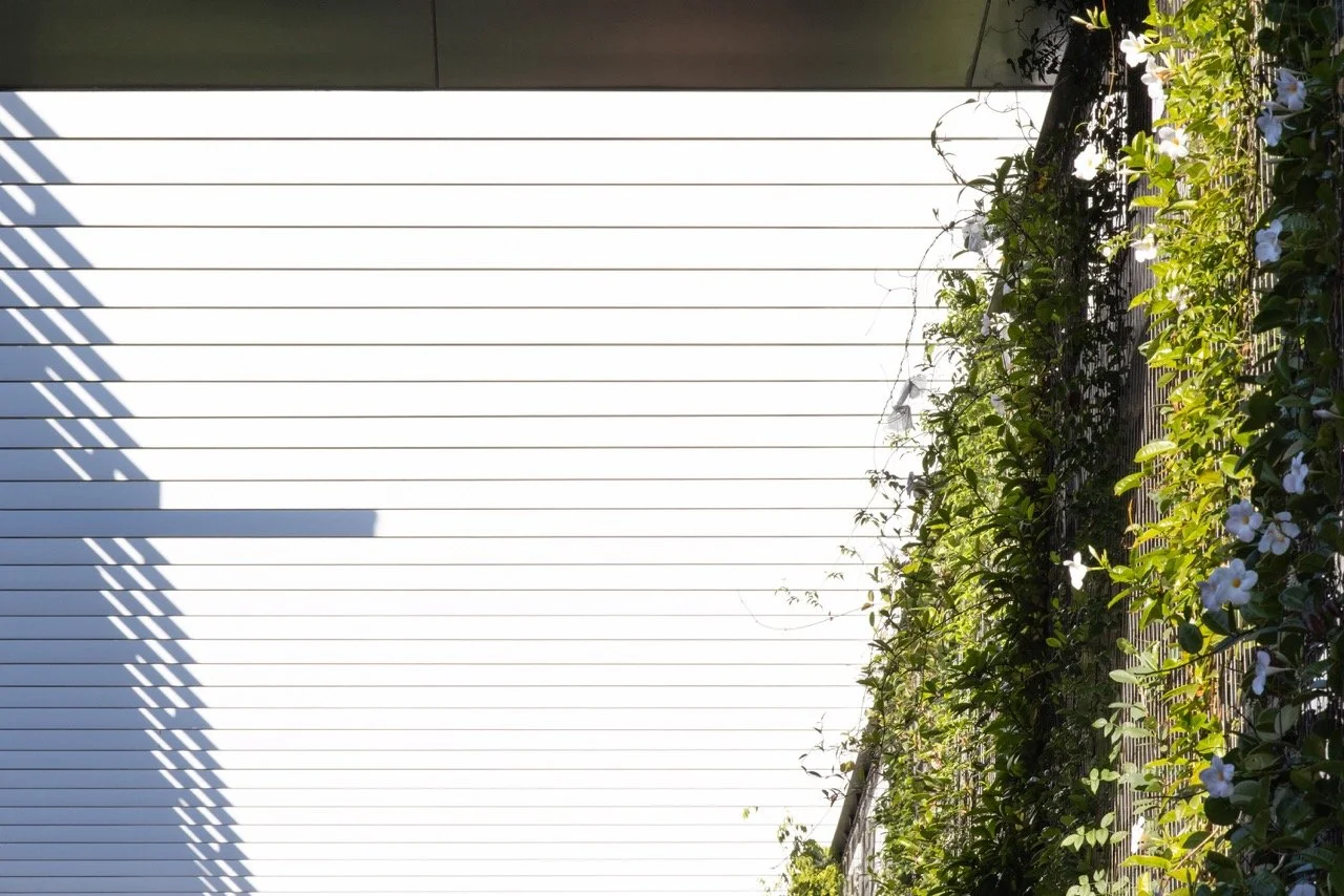 05-Black-Beetle-Landscape-Architects-BMW-MINI-SHOWROOM-RUSHCUTTERS BAY-SVP Large.jpeg