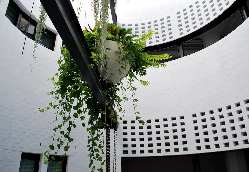 02-Black-Beetle-Landscape-Architects-CLEVELAND AND CO-REDFERN.JPG