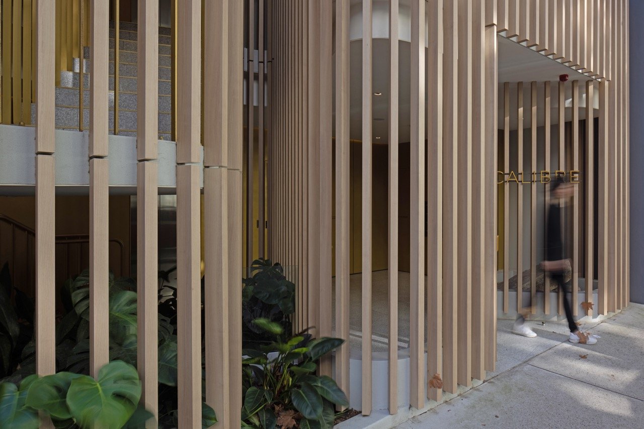 02-Black-Beetle-Landscape-Architects-CALIBRE-SURRY-HILLS-SVP Large.jpeg
