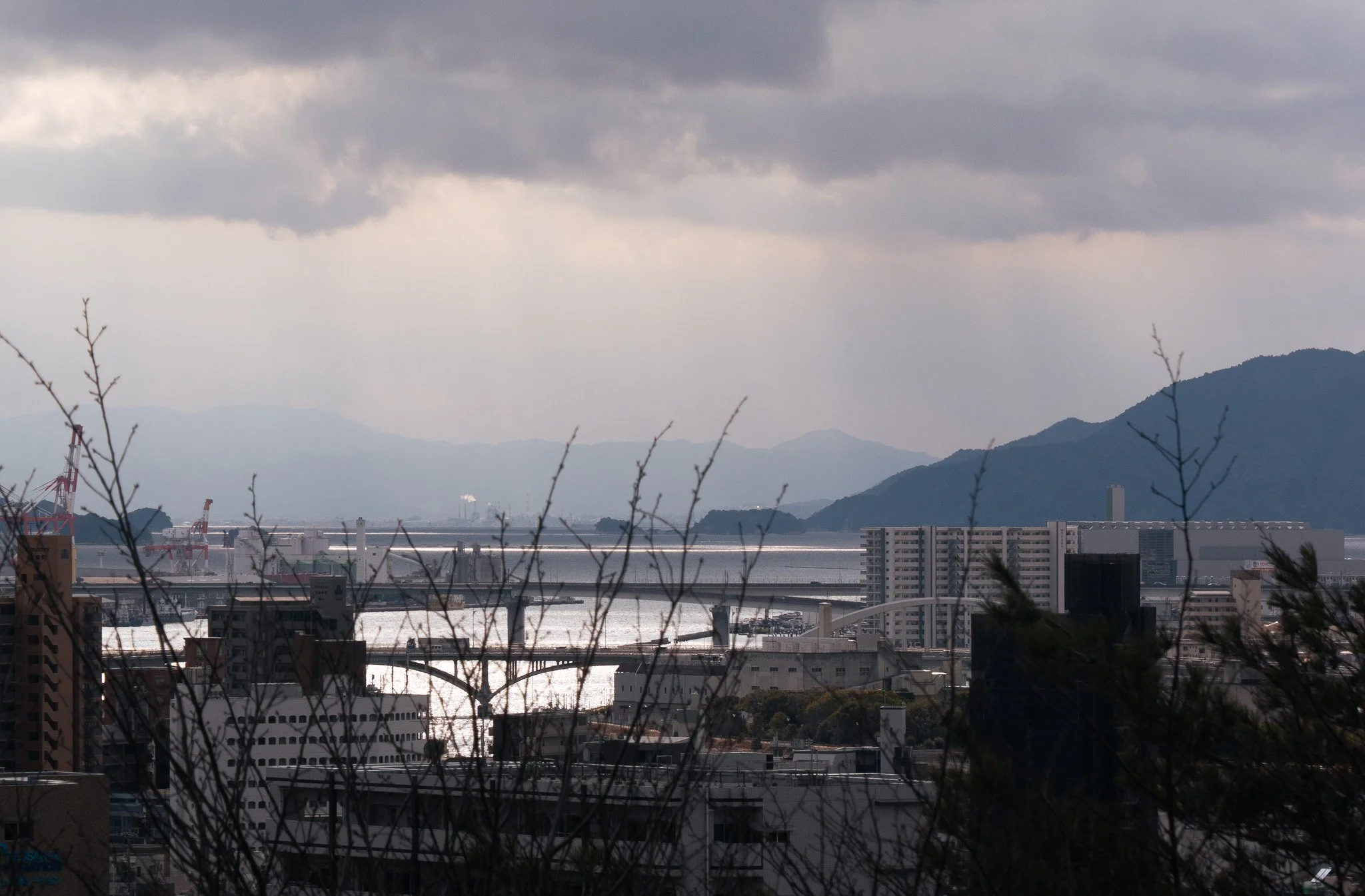 P1080194.jpg