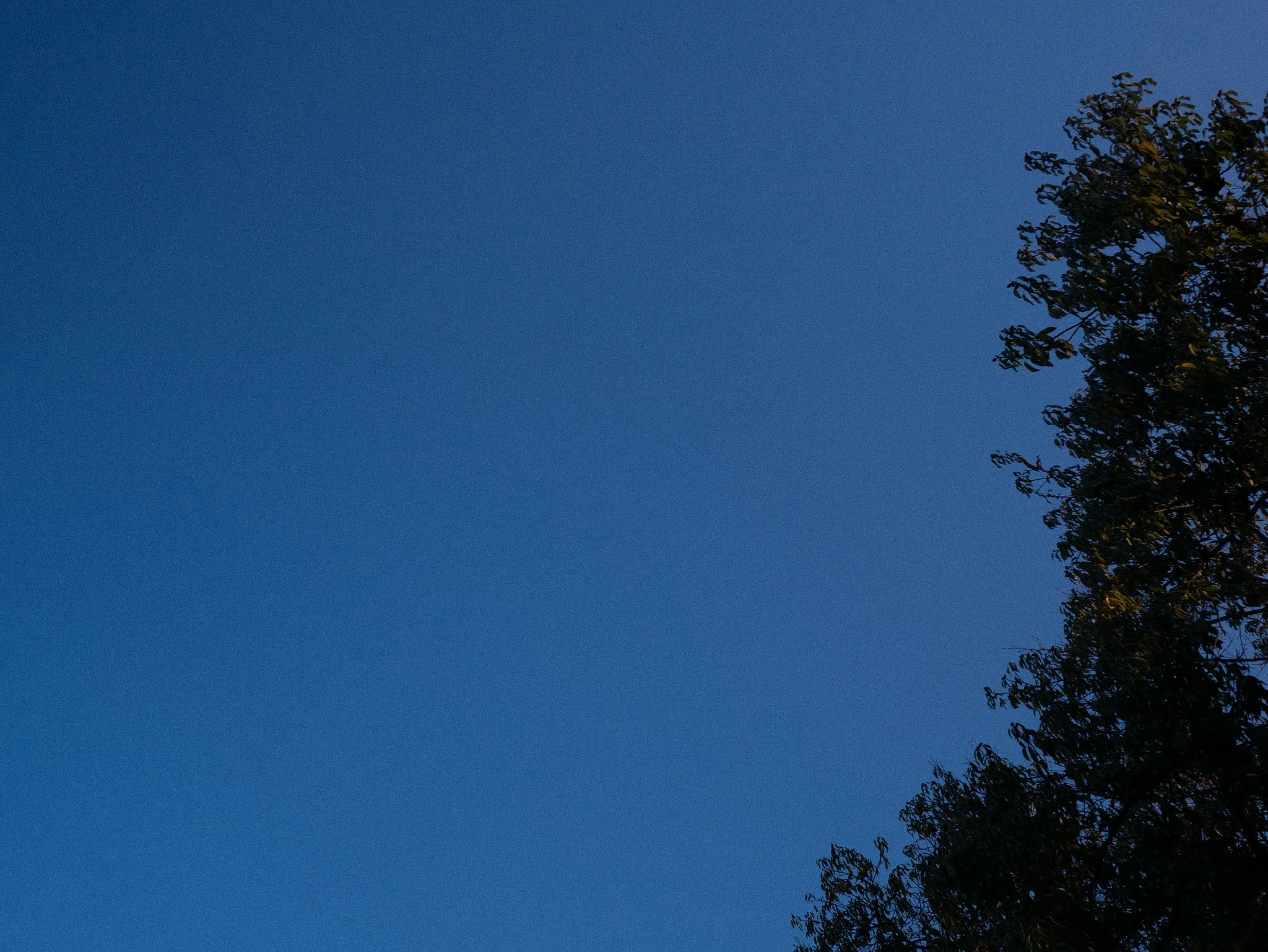 P1080656.jpg