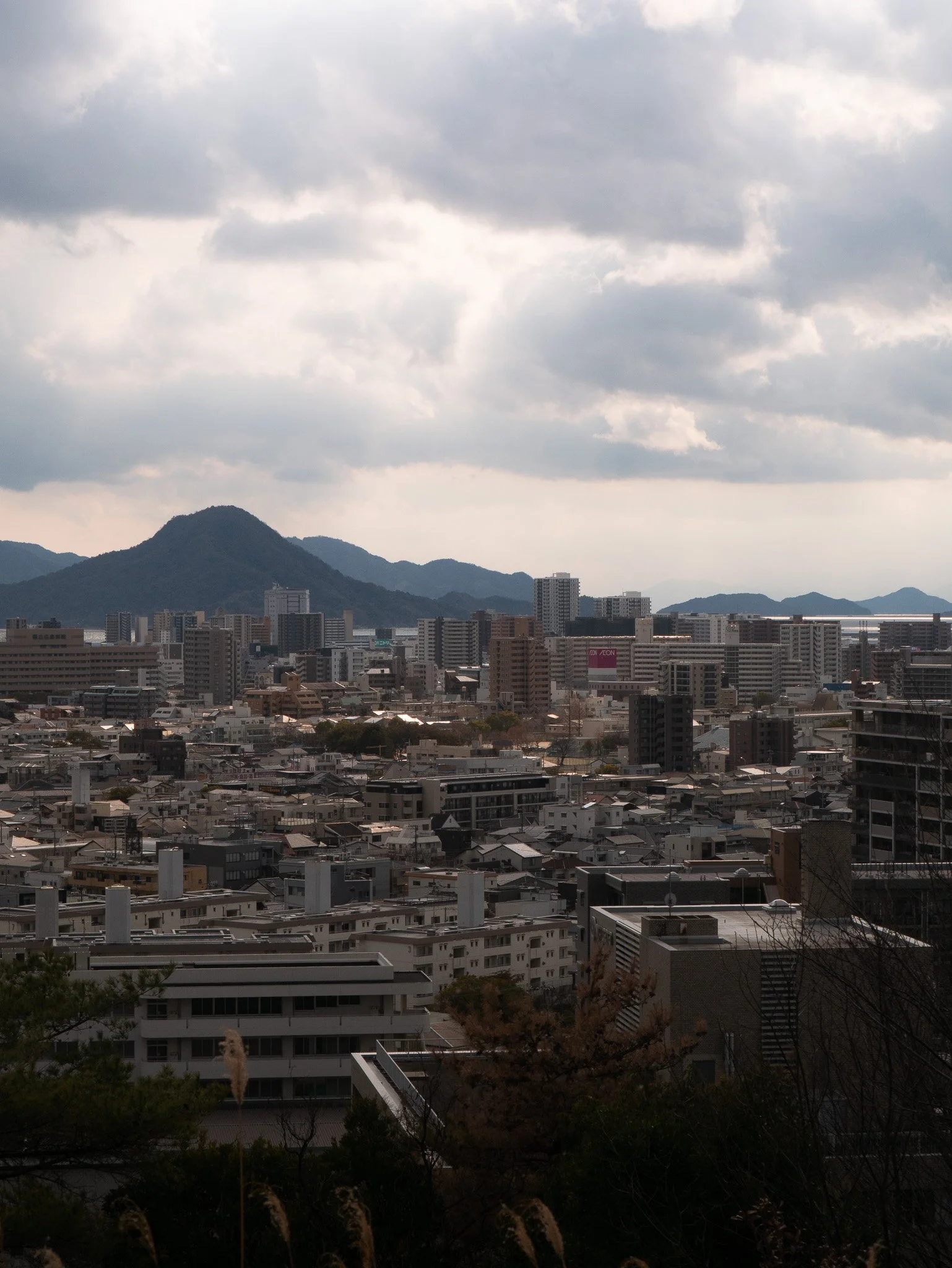 P1080193.jpg