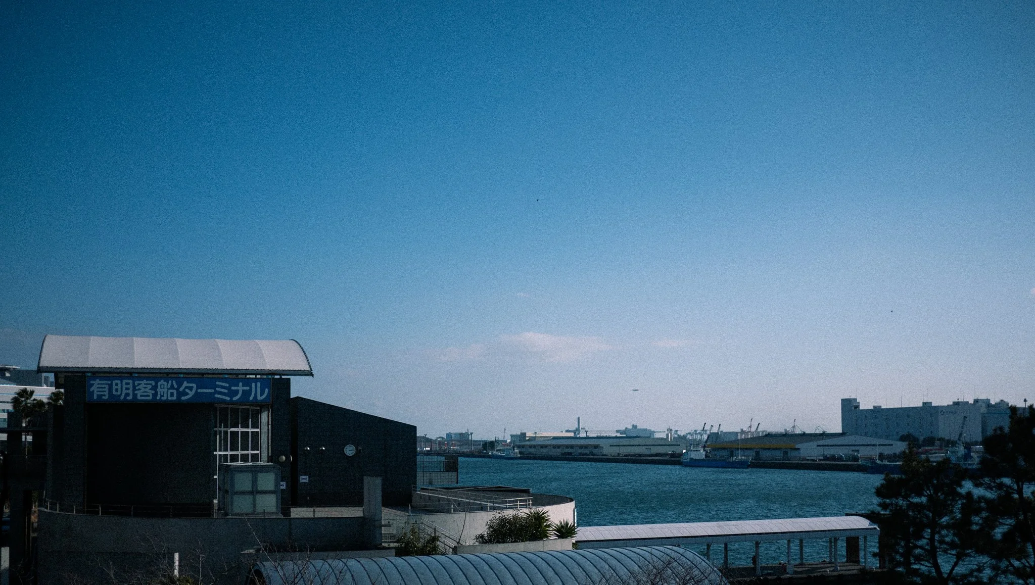 P1090337.jpg