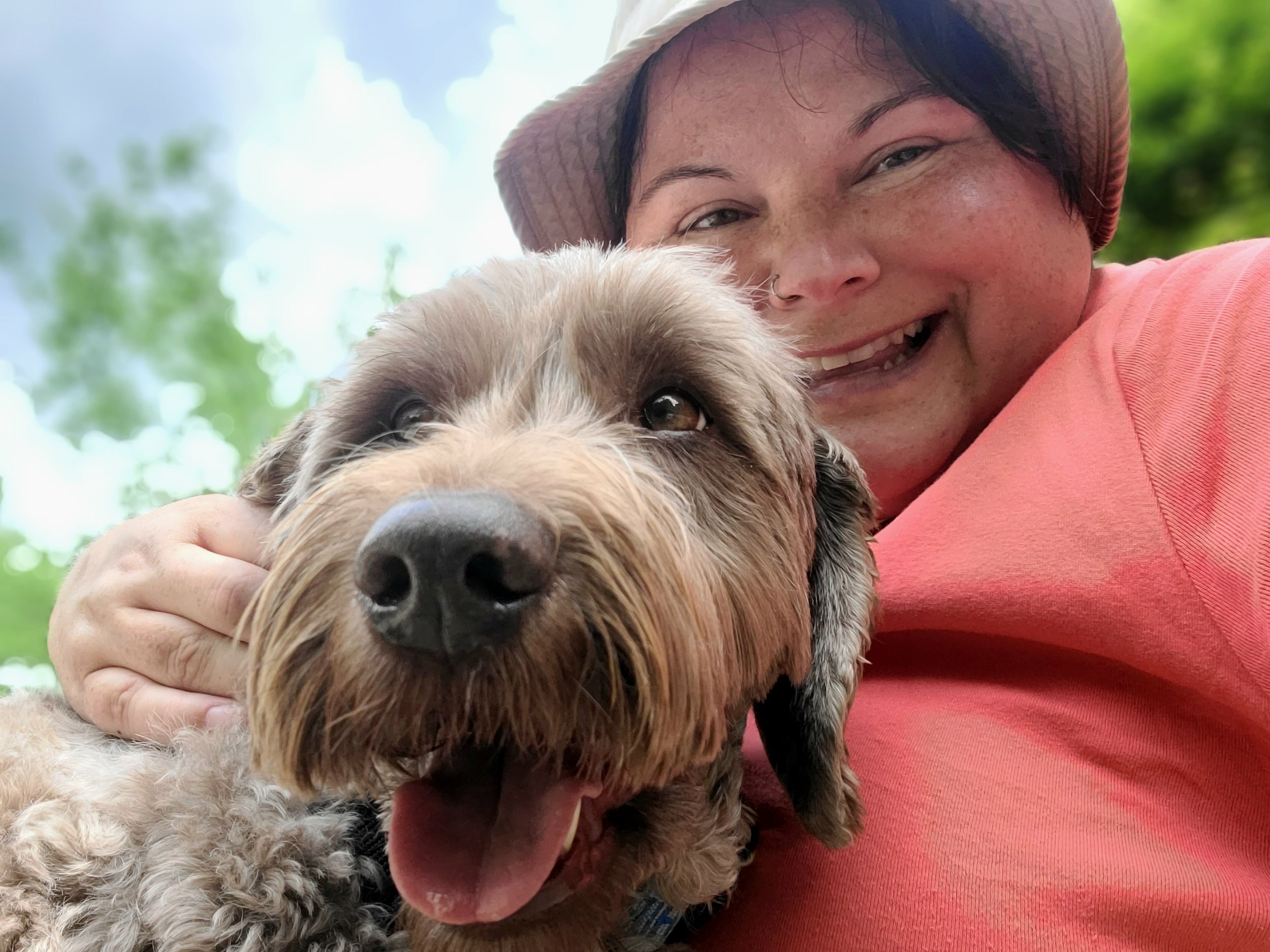 Companion Dogs: Following You Everywhere Isn't Clingy, It's How They're Wired