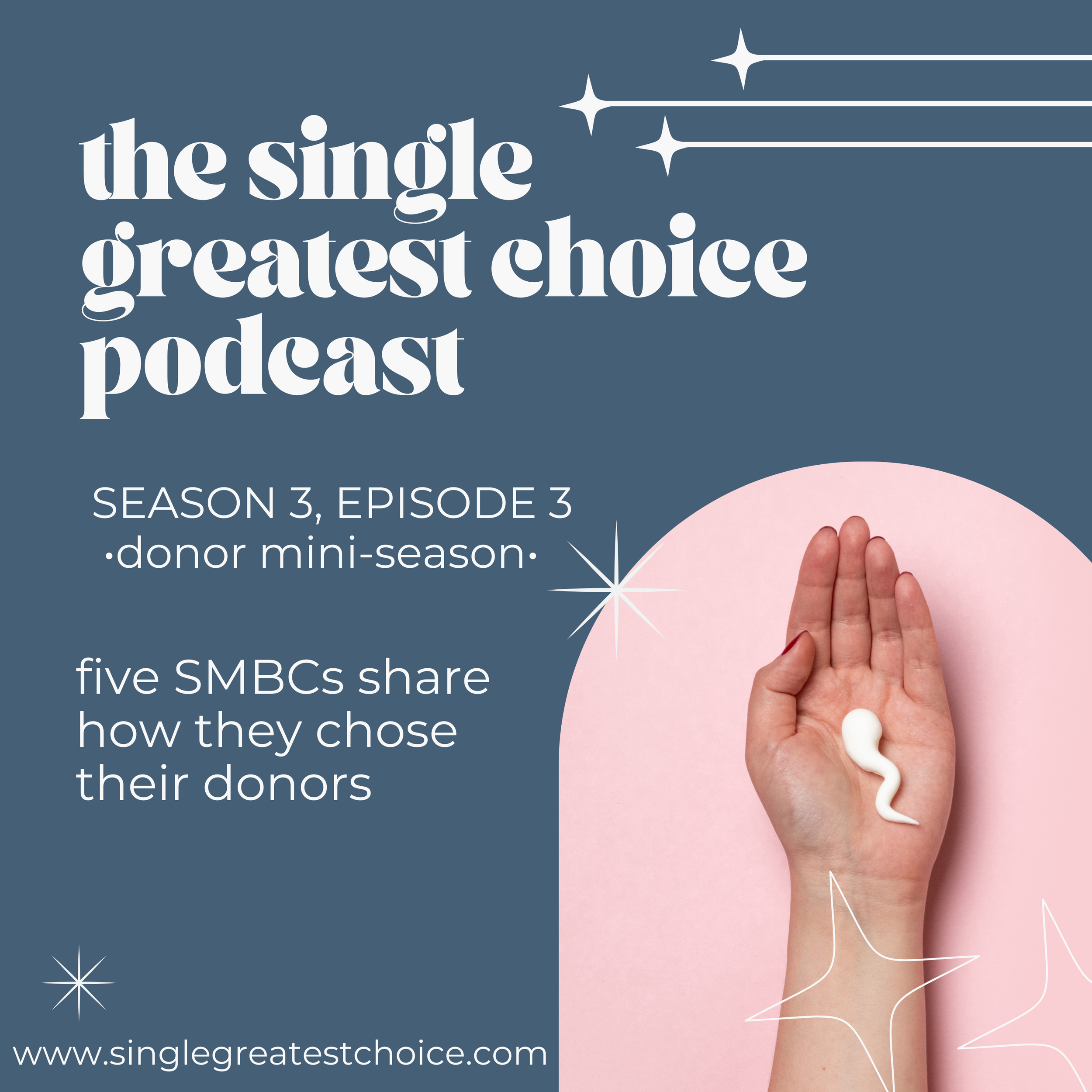 S3, Ep 3: five SMBCs share how they chose their donor